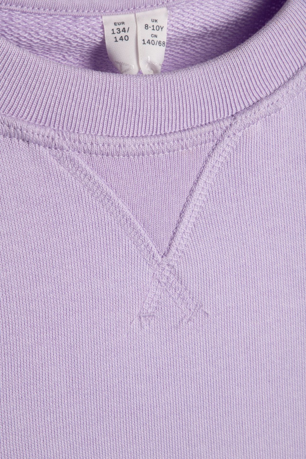 SALOMON SWEATSHIRT UNISEX PURPLE 4