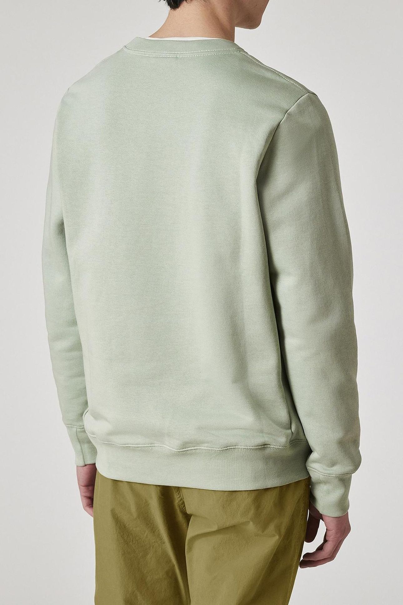MENS REG FIT SWEATSHIRT ZEBRA PASTEL GREEN 3
