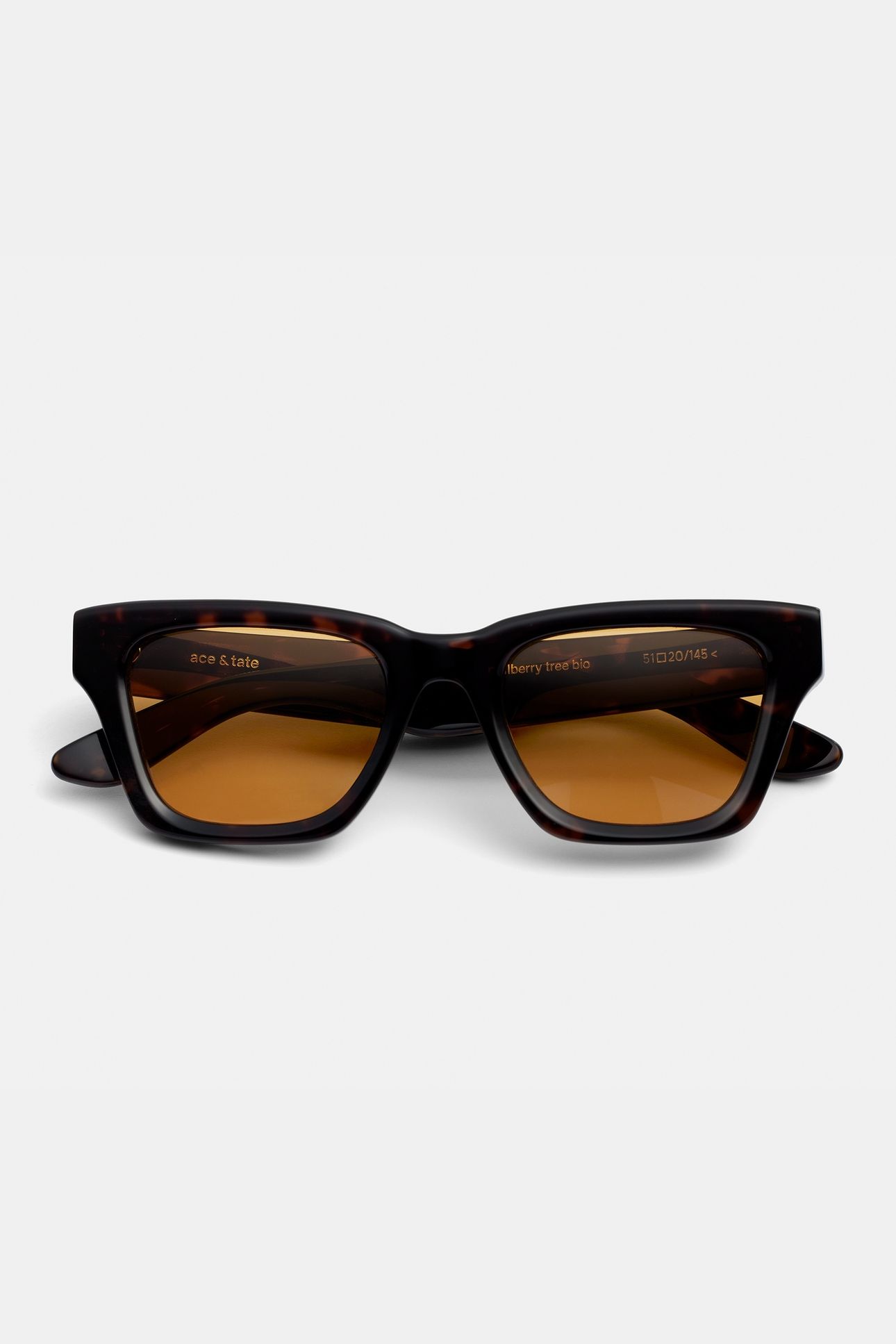 MAC-MULBERRY-TREE-AMBER-SUN 1