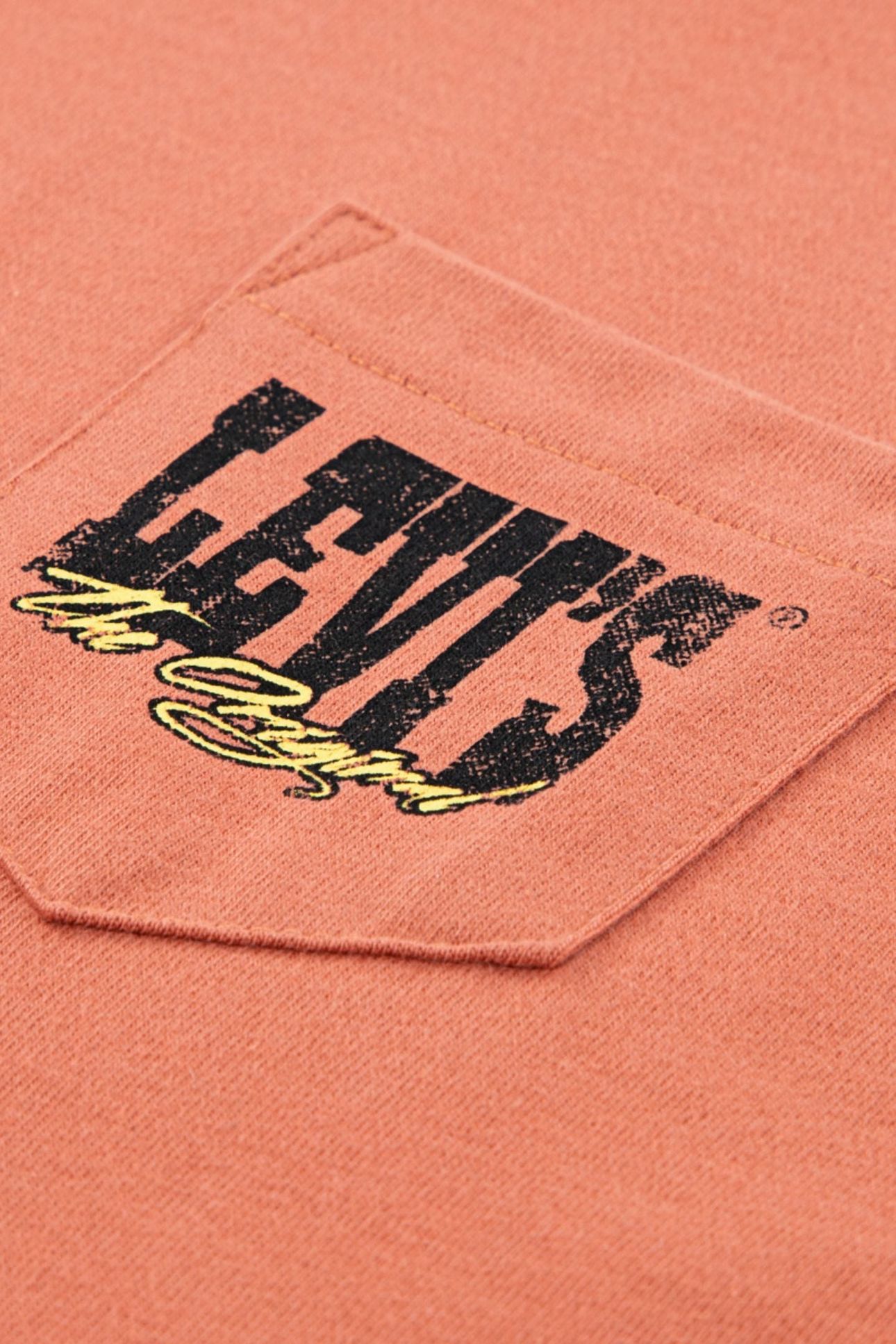 BOYS CANYON LANDSCAPE TEE TAWNY ORANGE 4