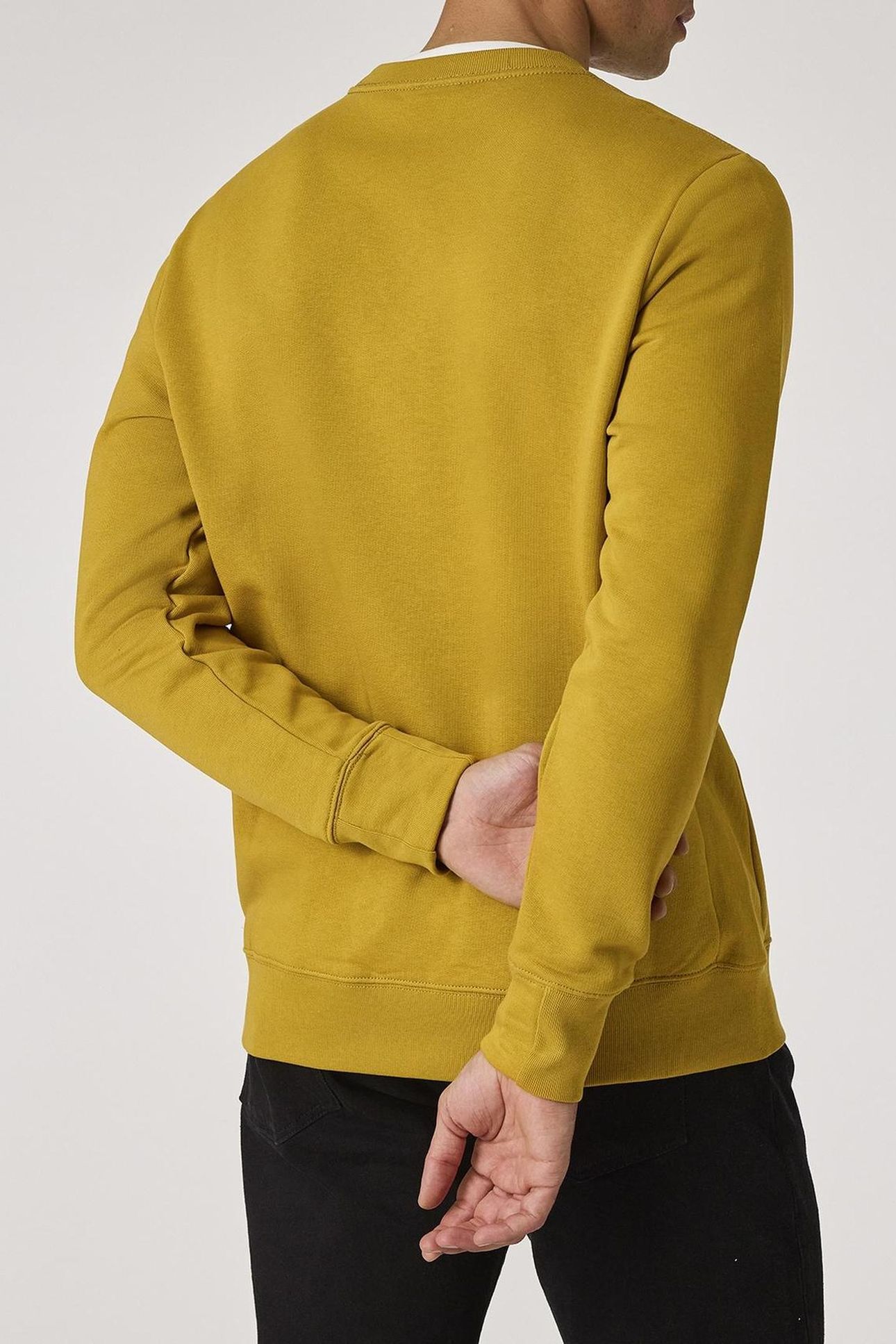 MENS REG FIT SWEATSHIRT ZEBRA OCHRE 3