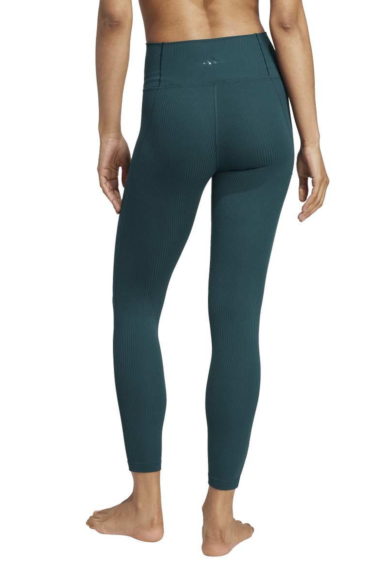 ALL ME RIB LEGGINGS AURORA IVY 3