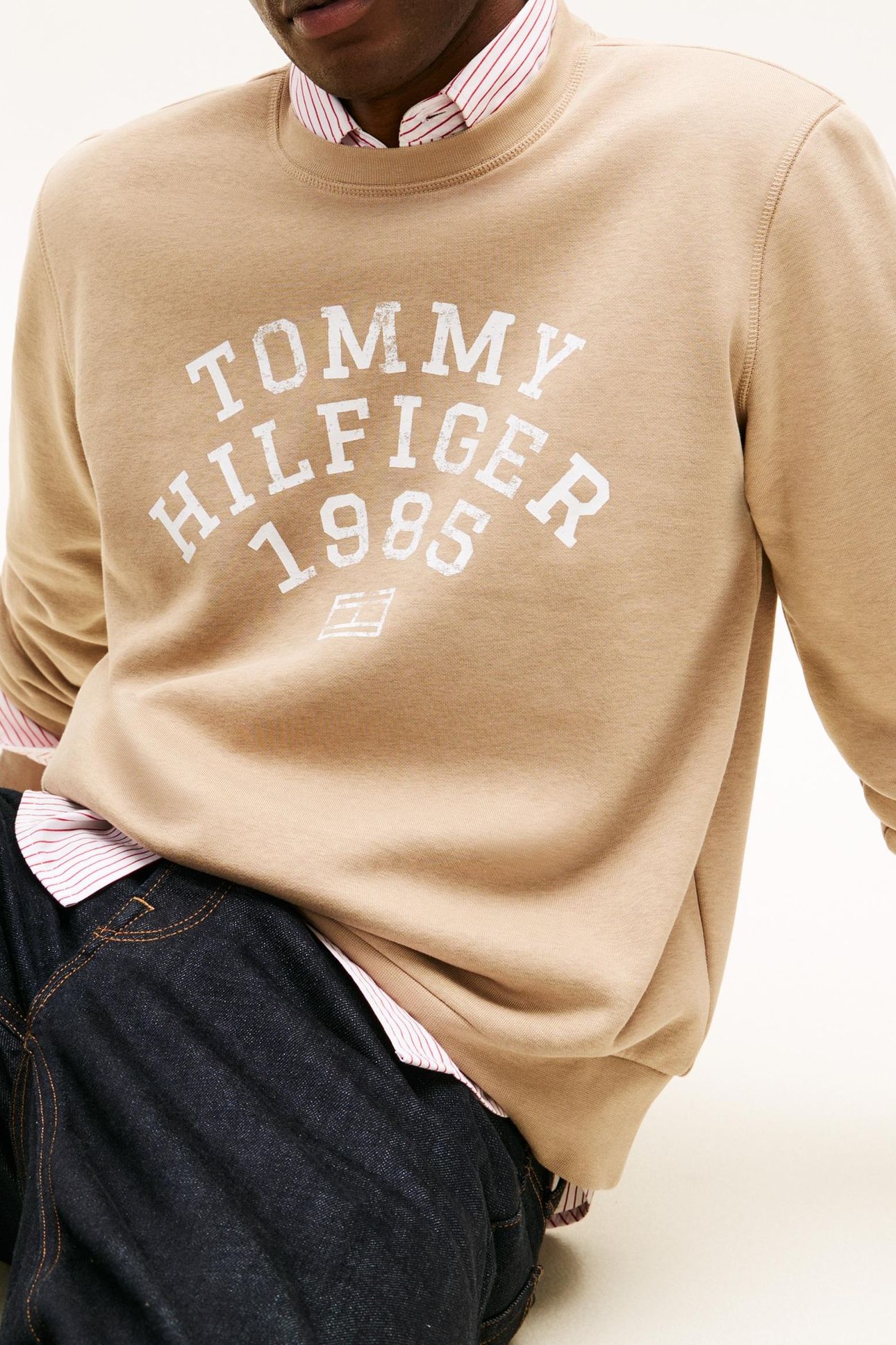 HILFIGER ARCH SWEATSHIRT COASTAL TAUPE 5
