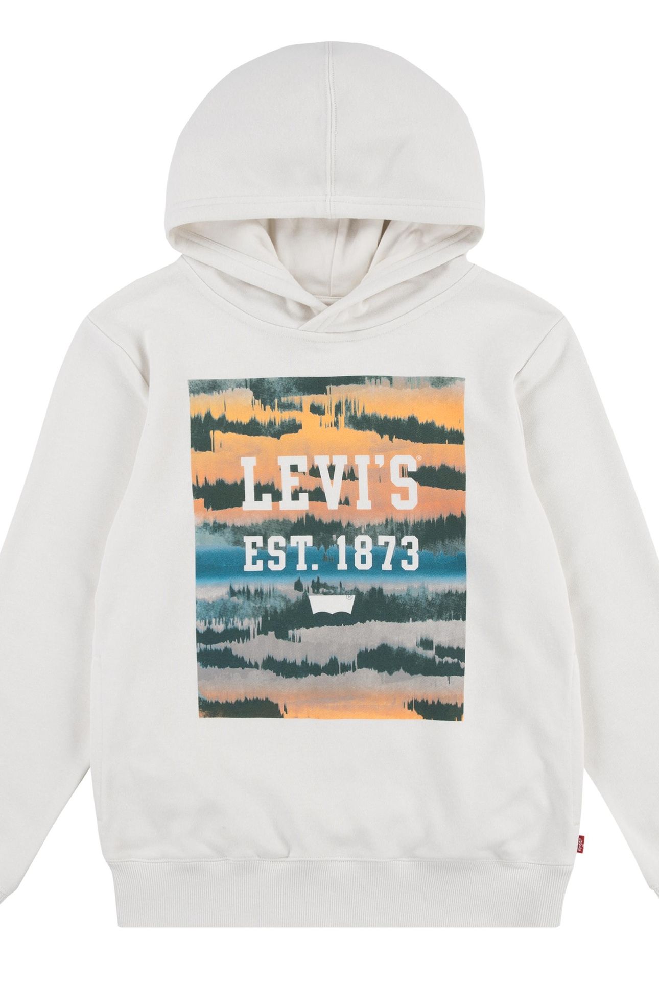 BOYS LANDSCAPE BOX HOODIE BIRCH 1