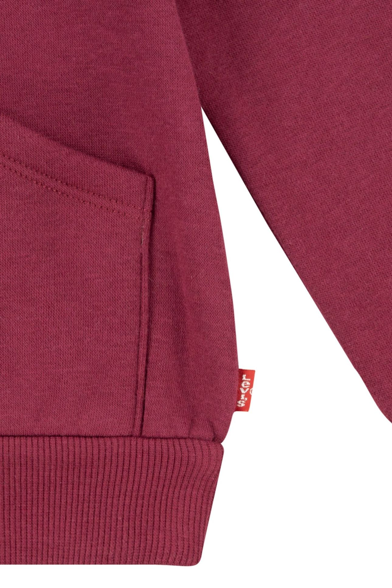 GIRLS POSTER LOGO HOODIE RHODODENDRON LEVIS 4