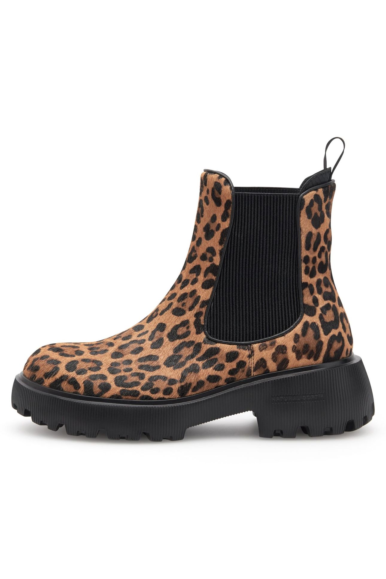 AYA LEO LEOPARD 1