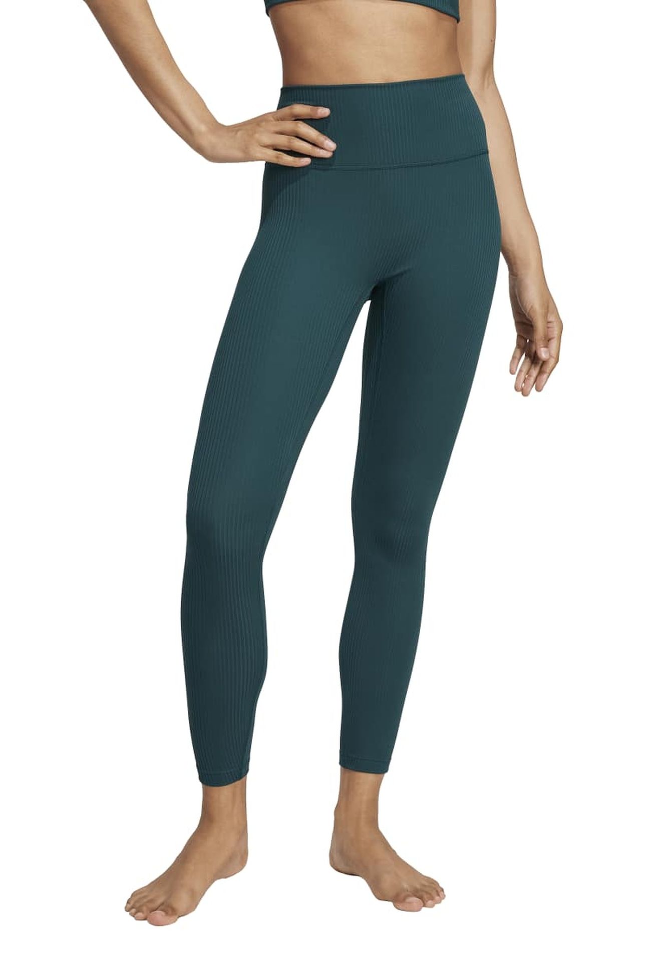 ALL ME RIB LEGGINGS AURORA IVY 2