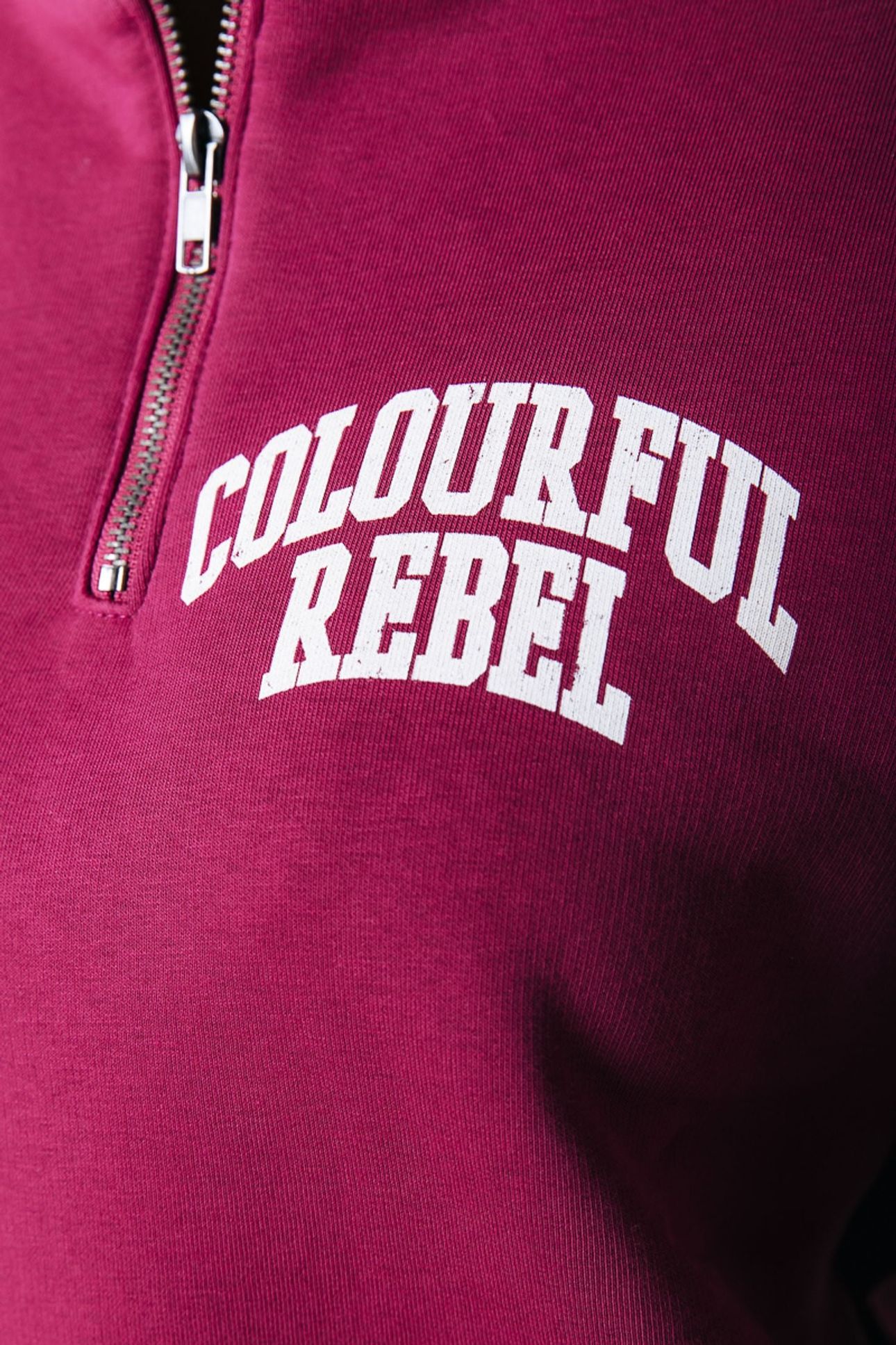 VARSITY LOGO RELAXED ZIP SWEAT BORDEAUX 4