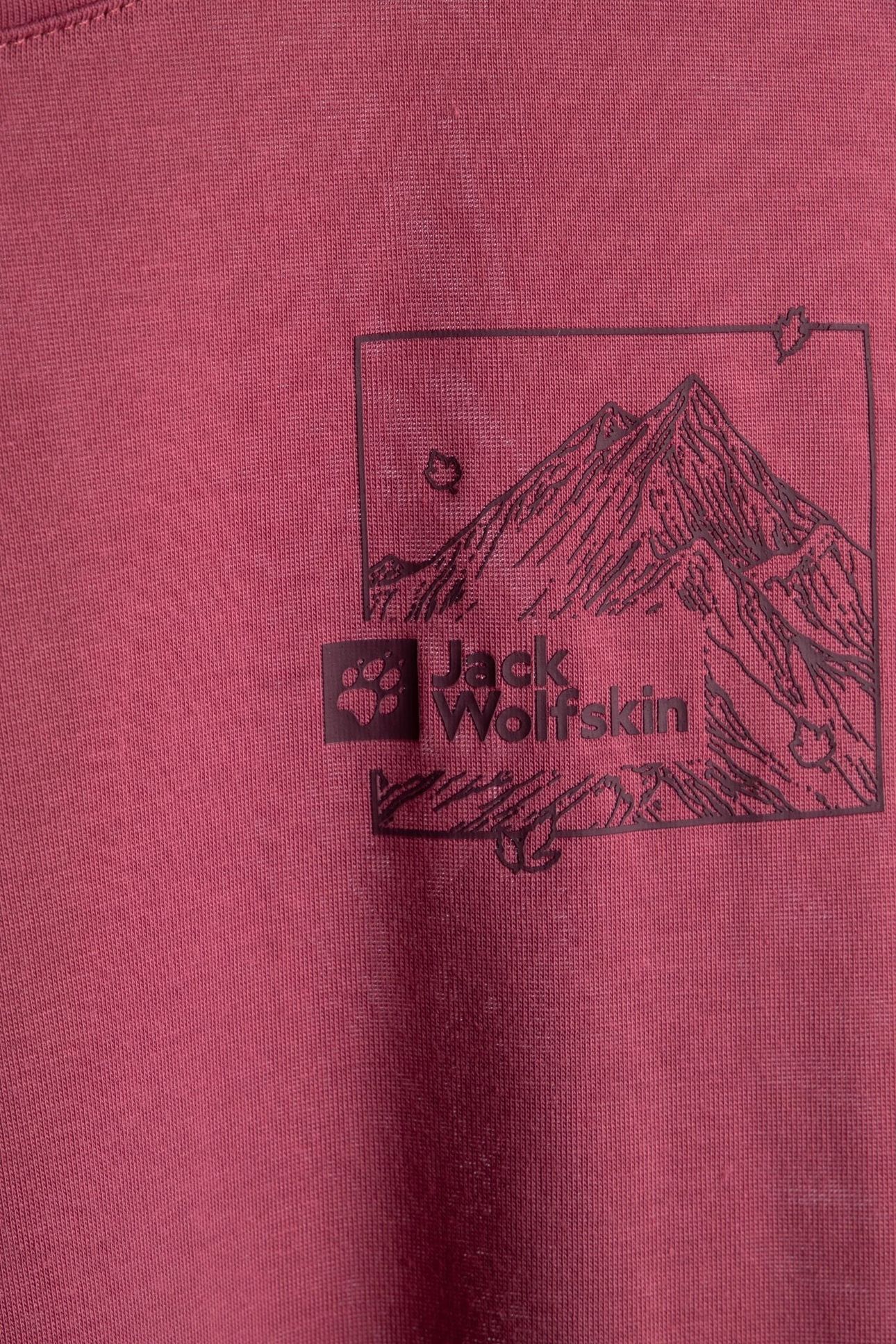 VONNAN GRAPHIC T RIDGE LEAF RAISIN 4