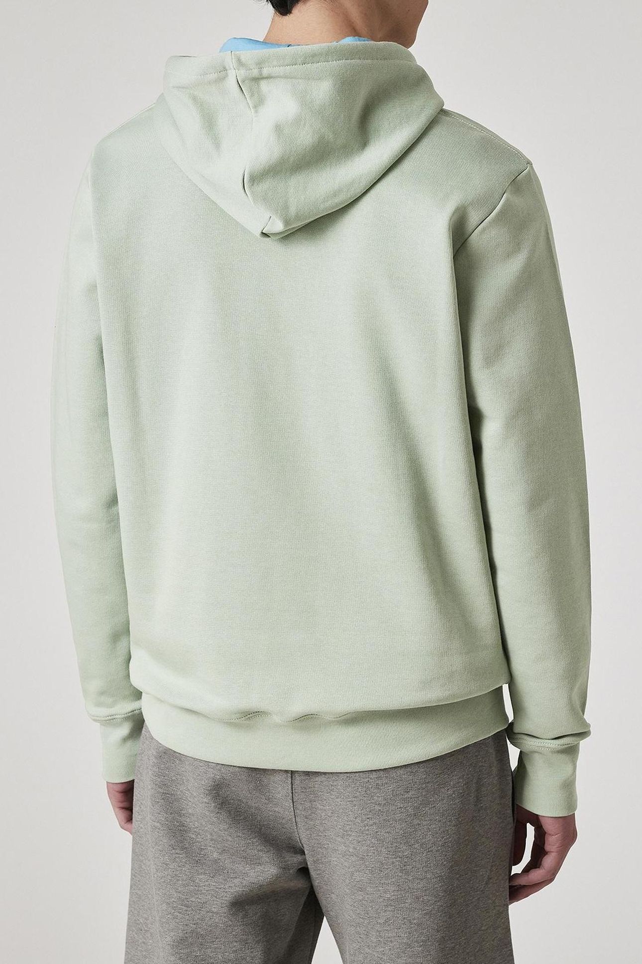 MENS REG FIT HOODY ZEBRA PASTEL GREEN 3