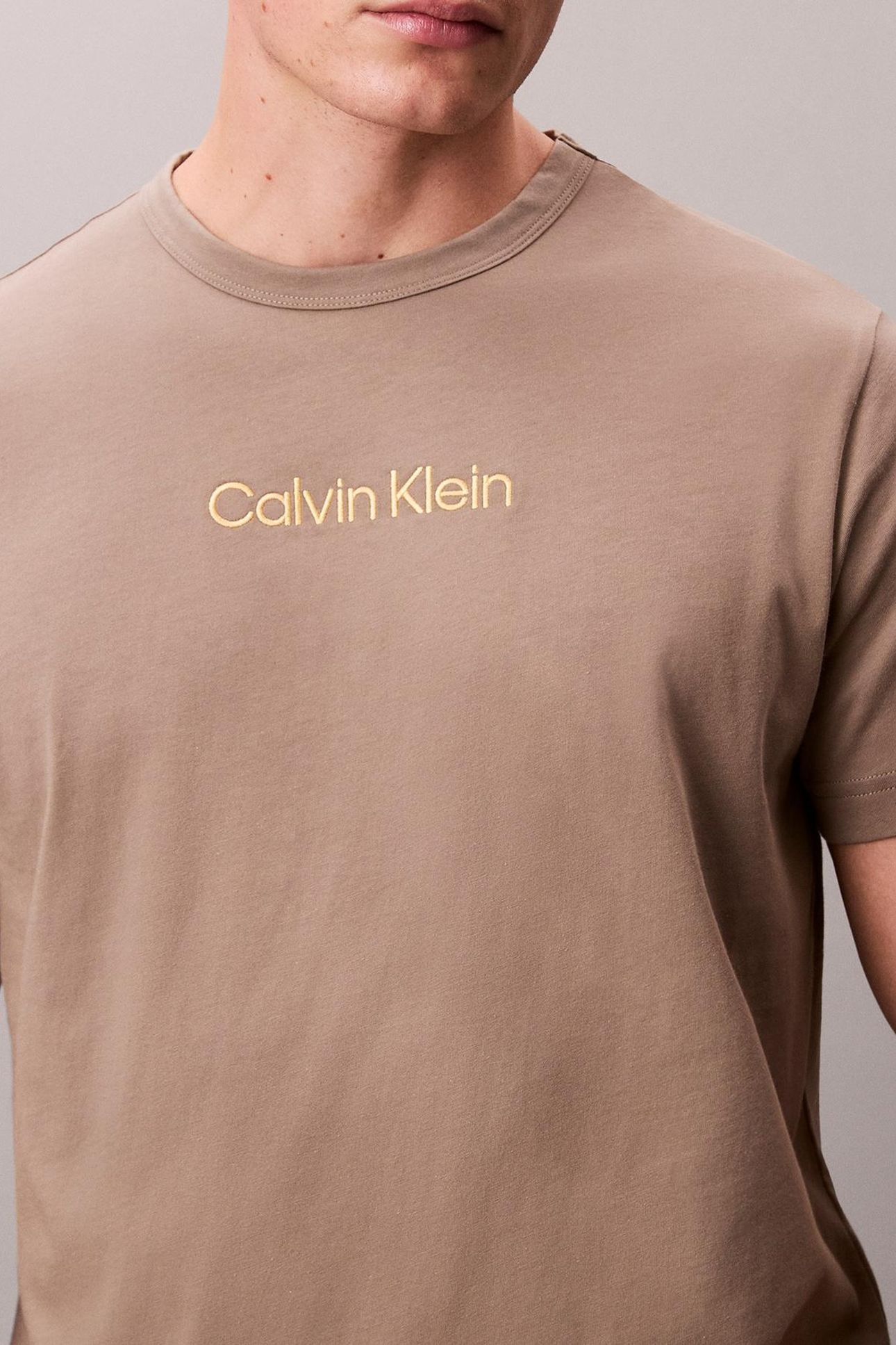 S/S CREW NECK CAPTIVATING GRAY 6