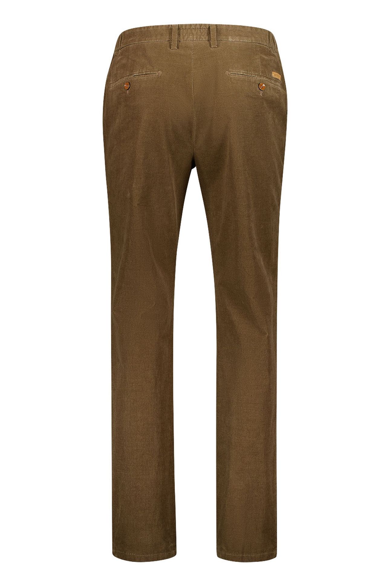TONIC-4-430801 CAMEL 2