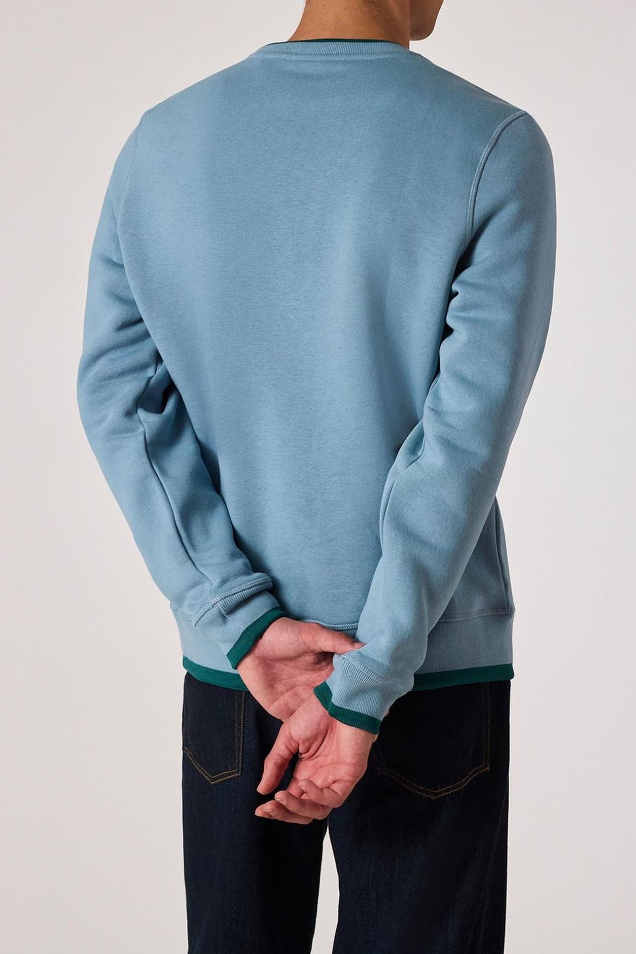 MENS REG FIT SWEATSHIRT ZEBRA MONO LIGHT BLUE 3