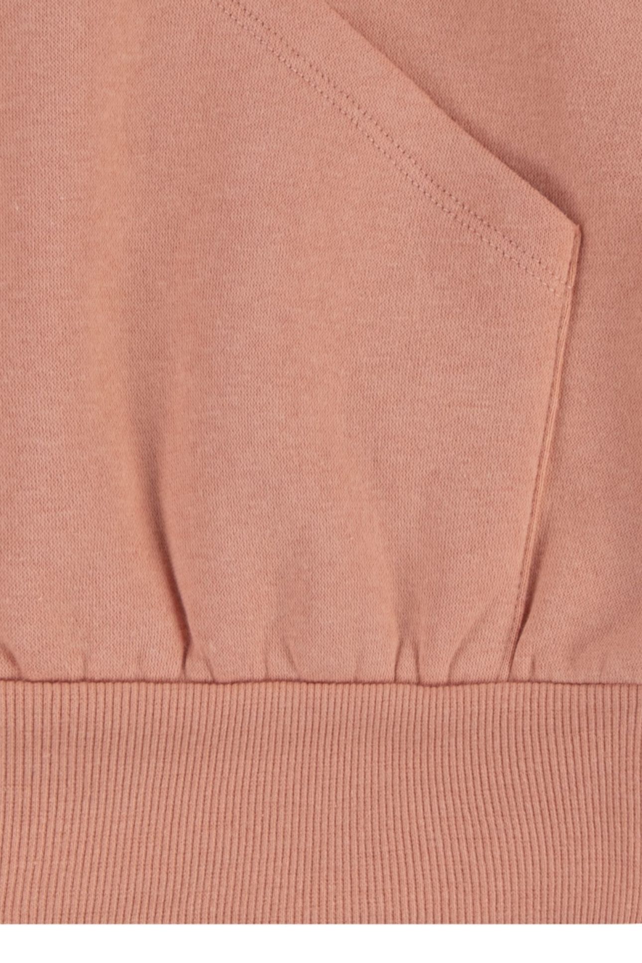 GIRLS POSTER LOGO HOODIE TERRA COTTA 3