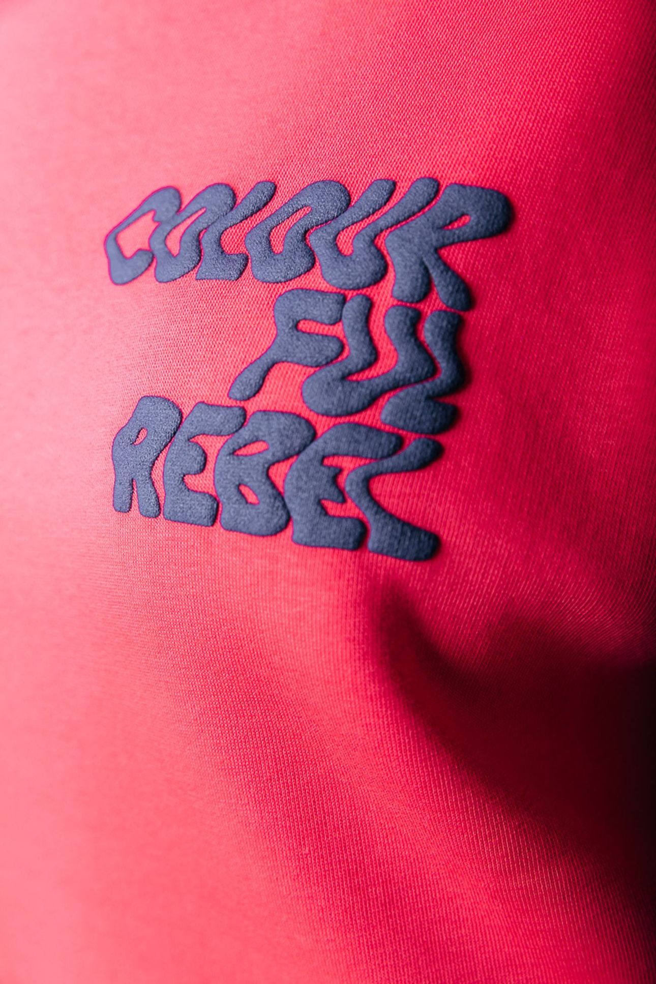 LOGO WAVE RELAXED SWEAT RED 3