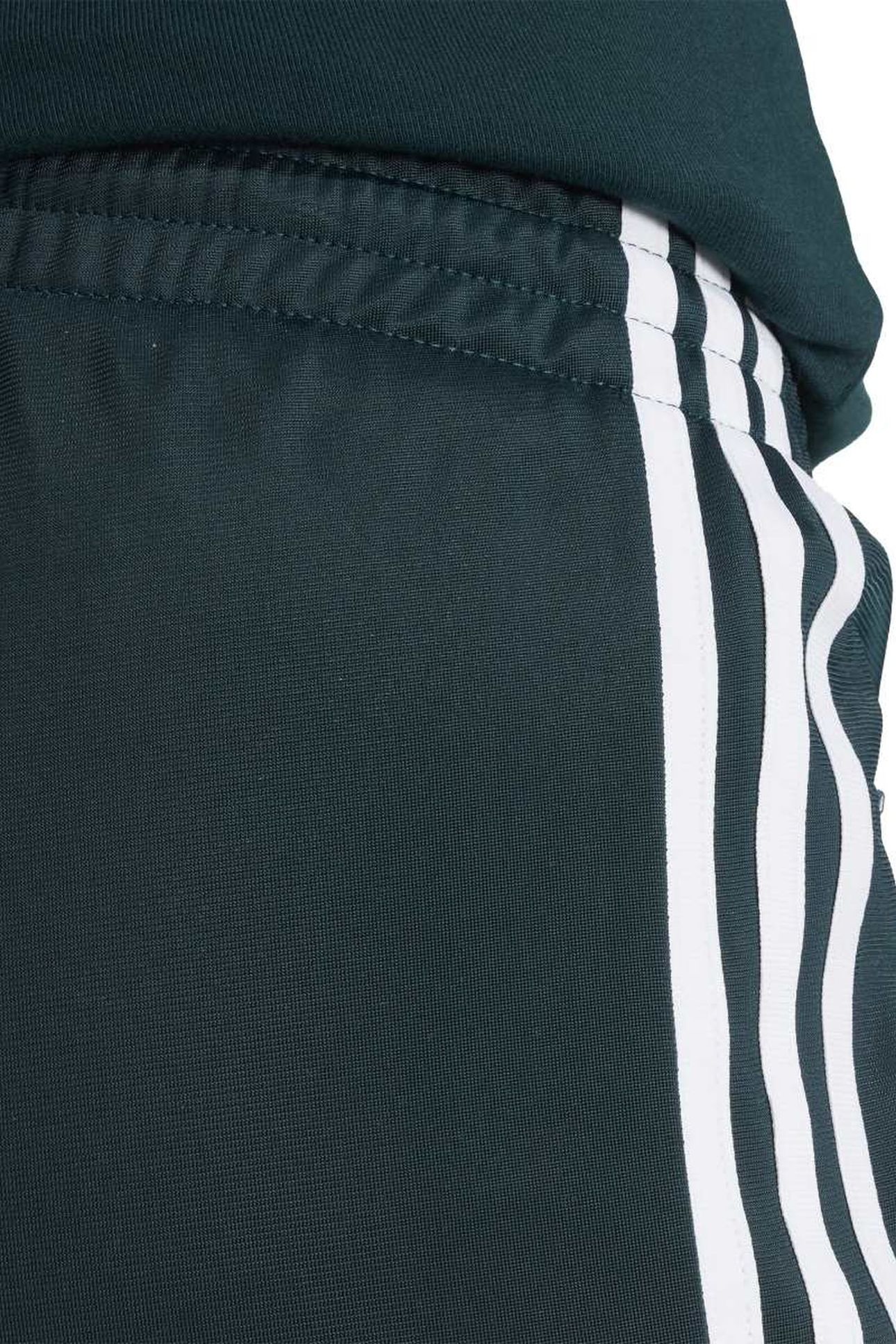 FIREBIRD TRACK PANTS AURORA IVY 6