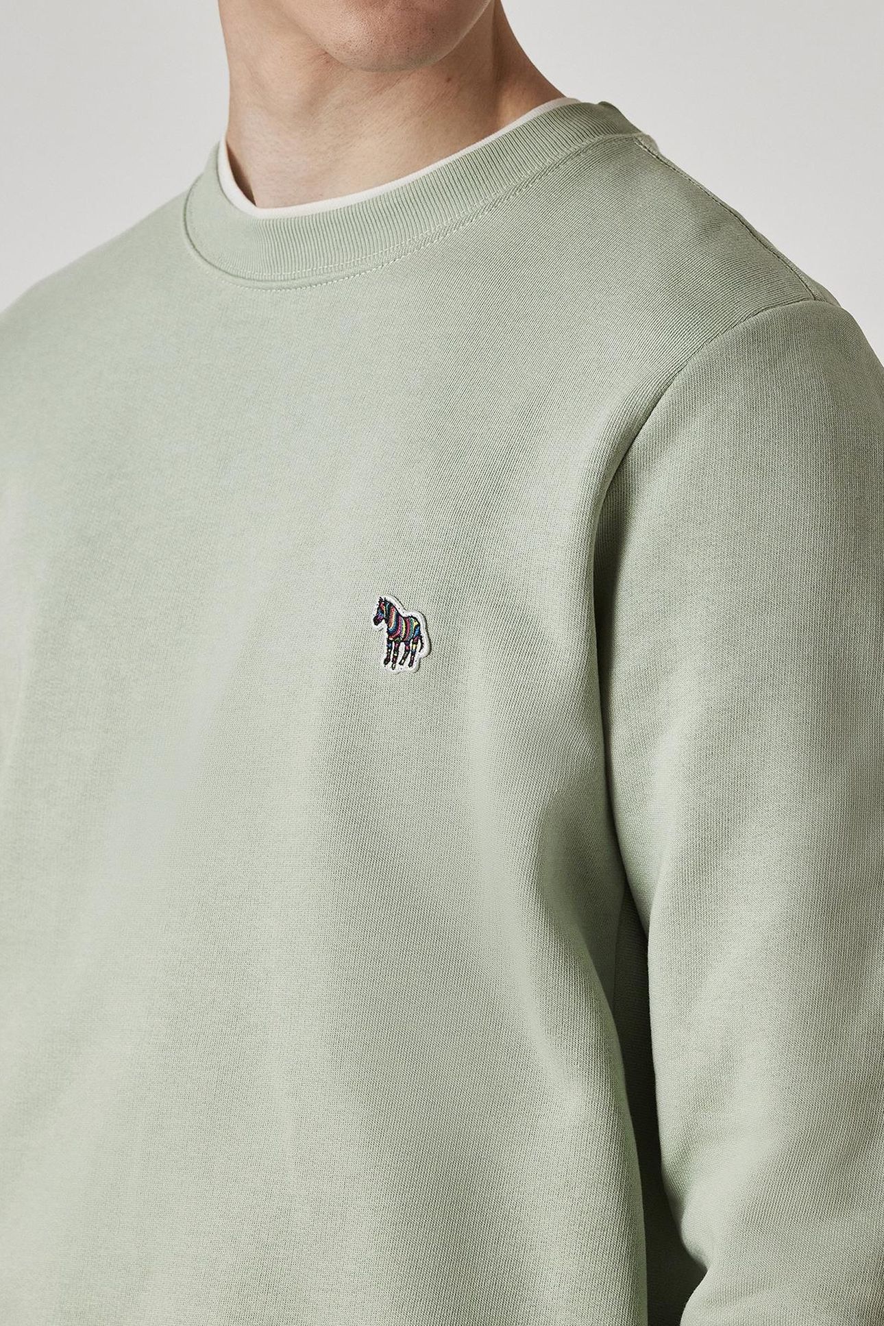 MENS REG FIT SWEATSHIRT ZEBRA PASTEL GREEN 6