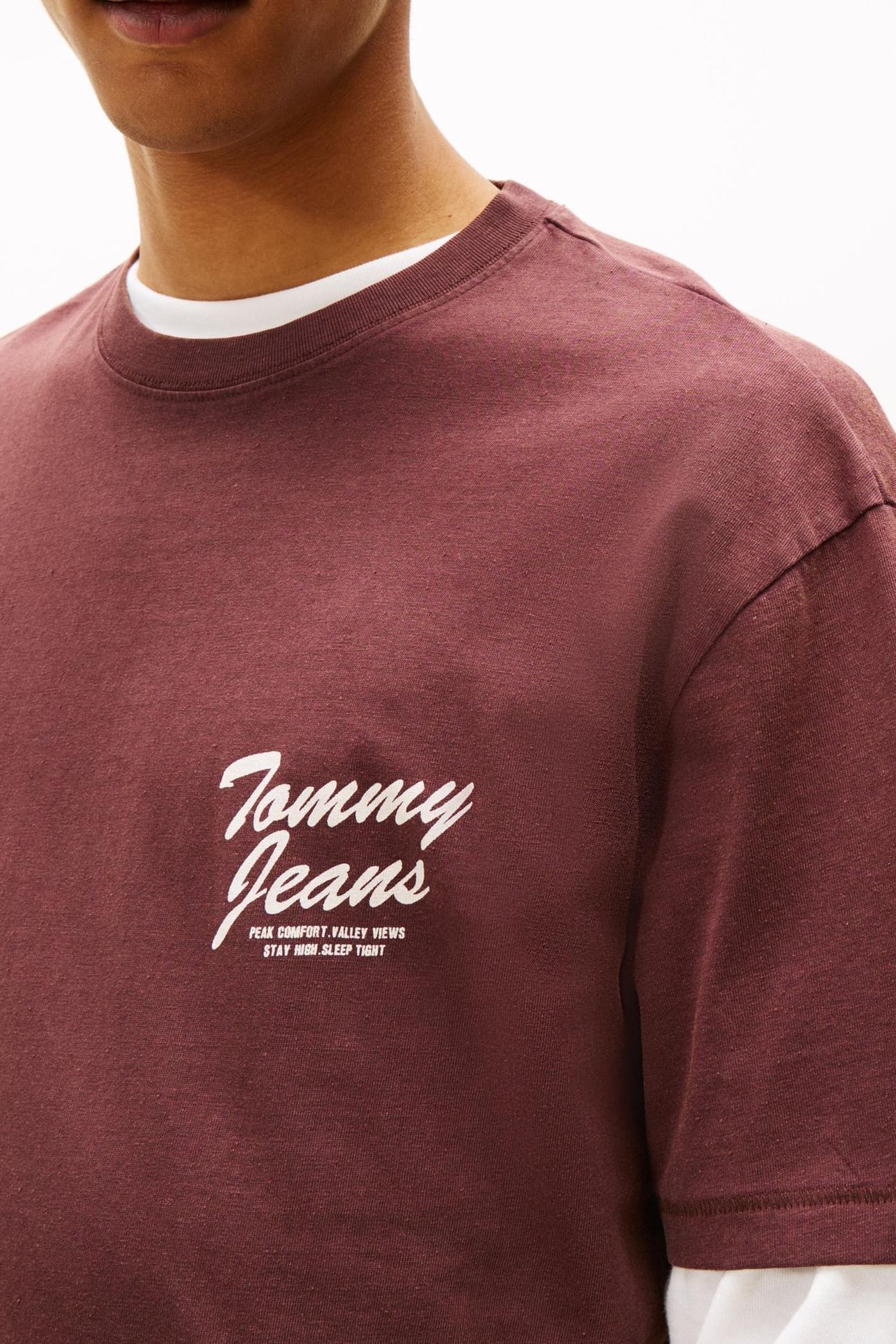 TJM RELAXED NOVELTY TEE RICH BROWN 5