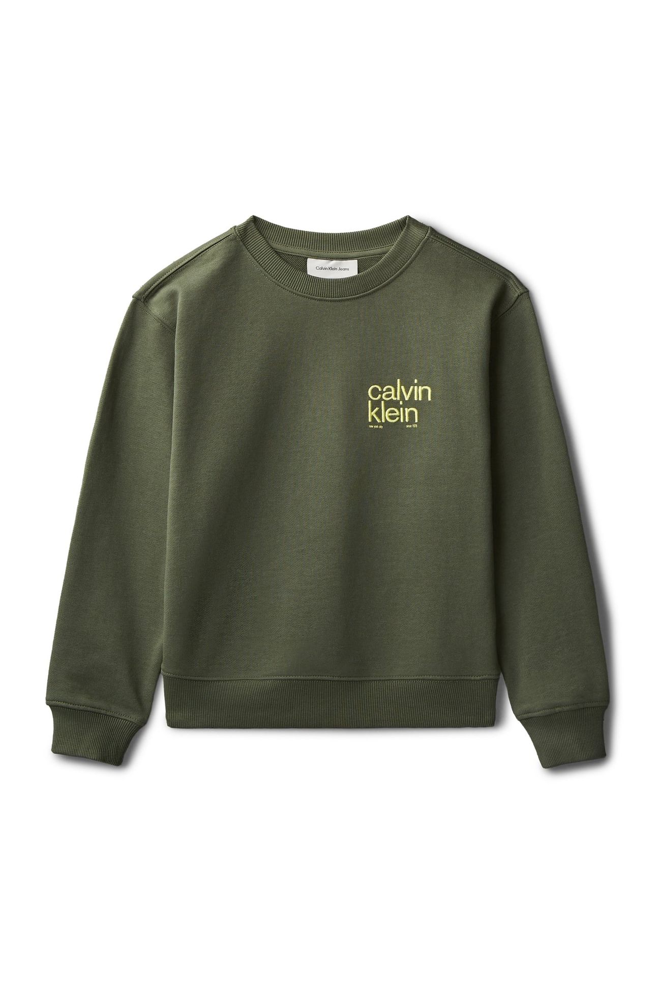 BOYS RELAXED BACK PRINT CREW THYME 4
