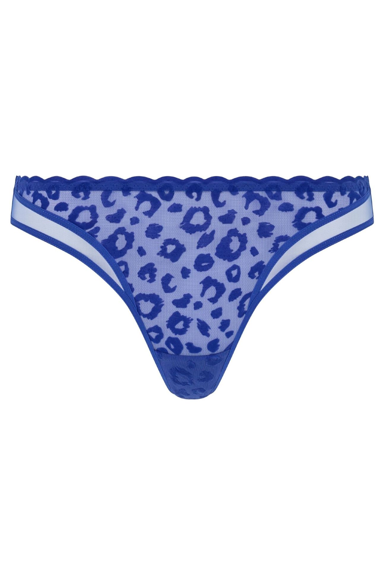 CO BO. TANGA STD STD W. SAILOR BLUE 3