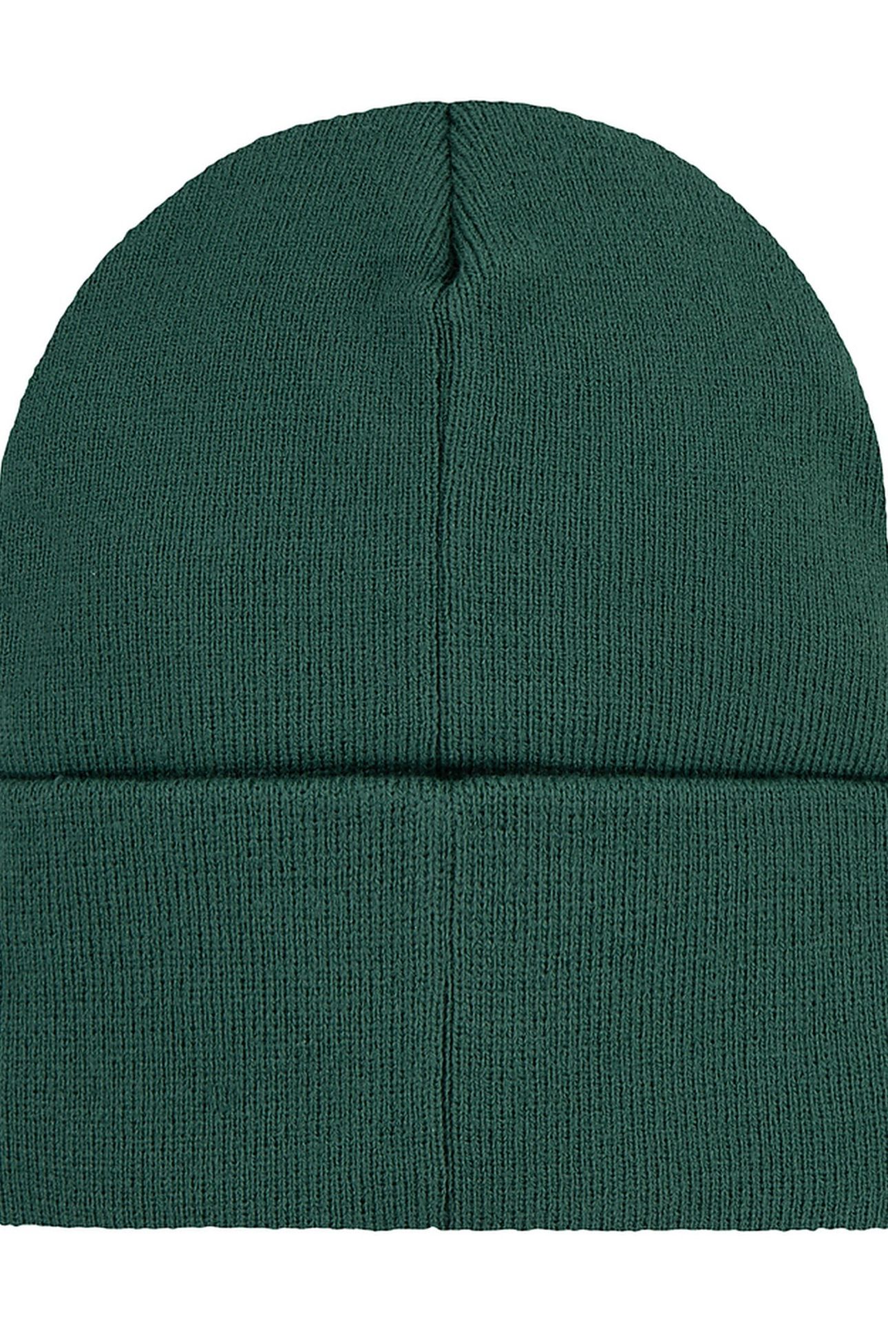 UNISEX LAN LEVI'S CORE BATWING BEANIE BISTRO GREEN 2