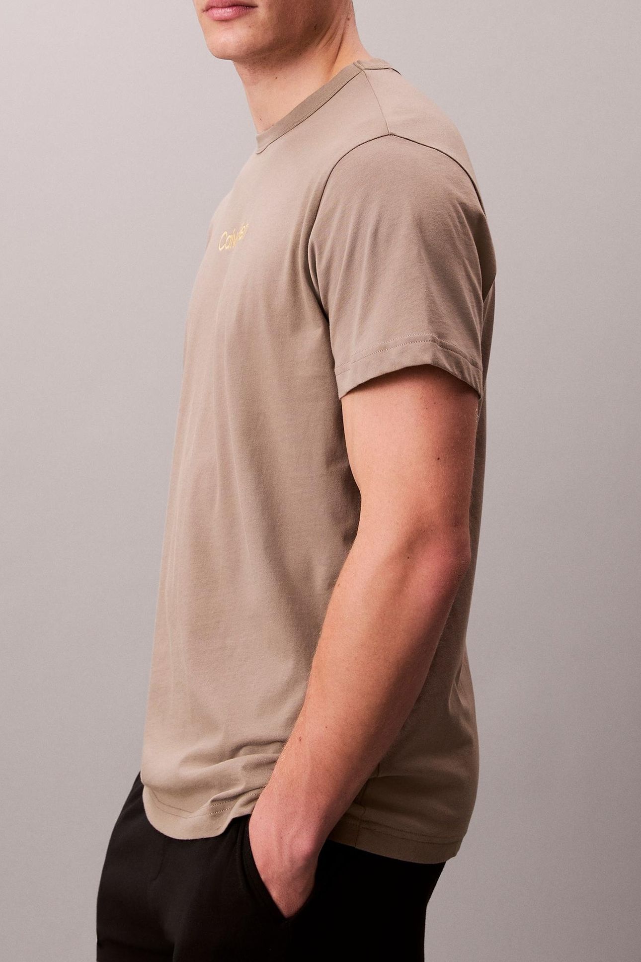 S/S CREW NECK CAPTIVATING GRAY 5