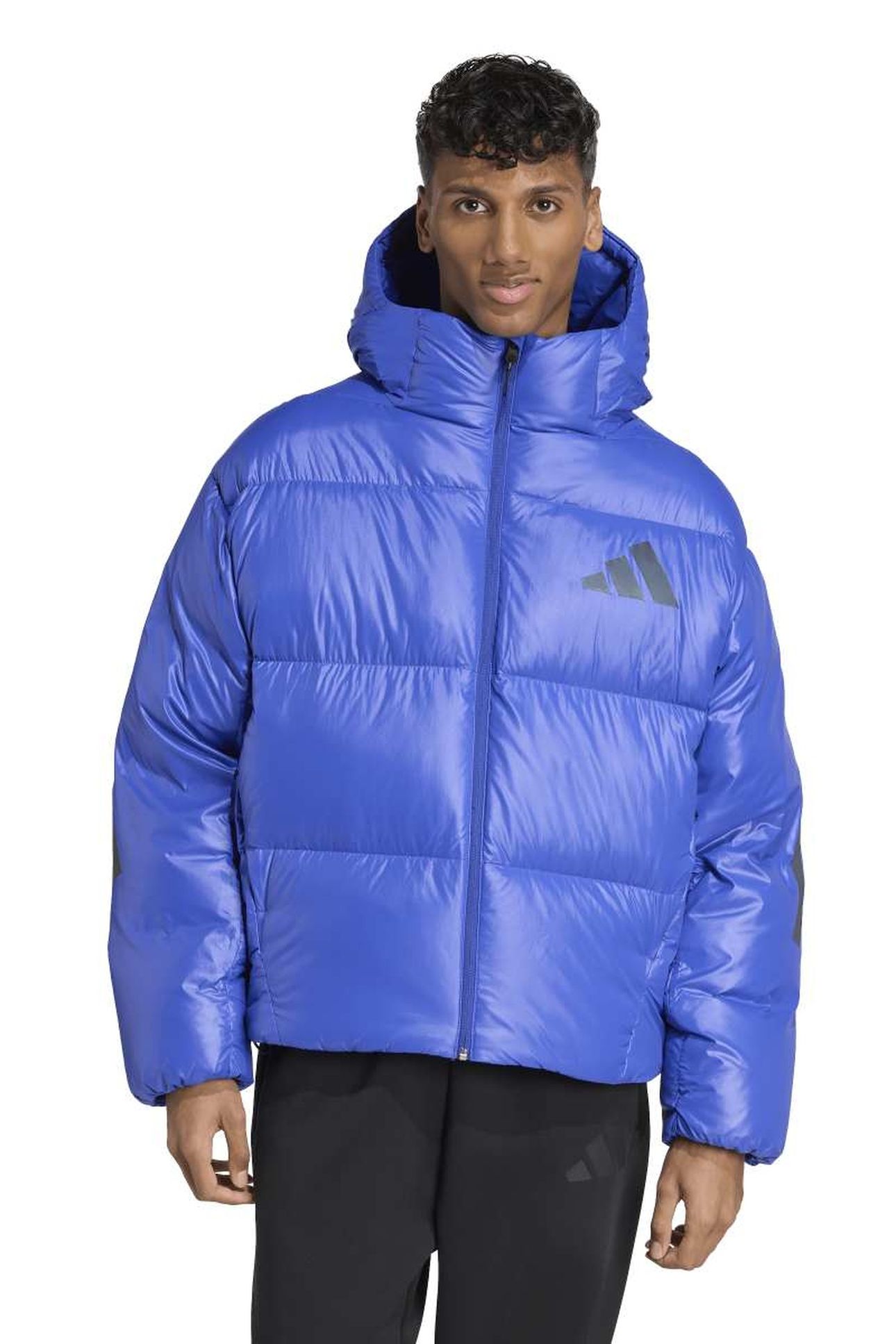 UNISEX Z.N.E. PUFFER SEMI LUCID BLUE 1