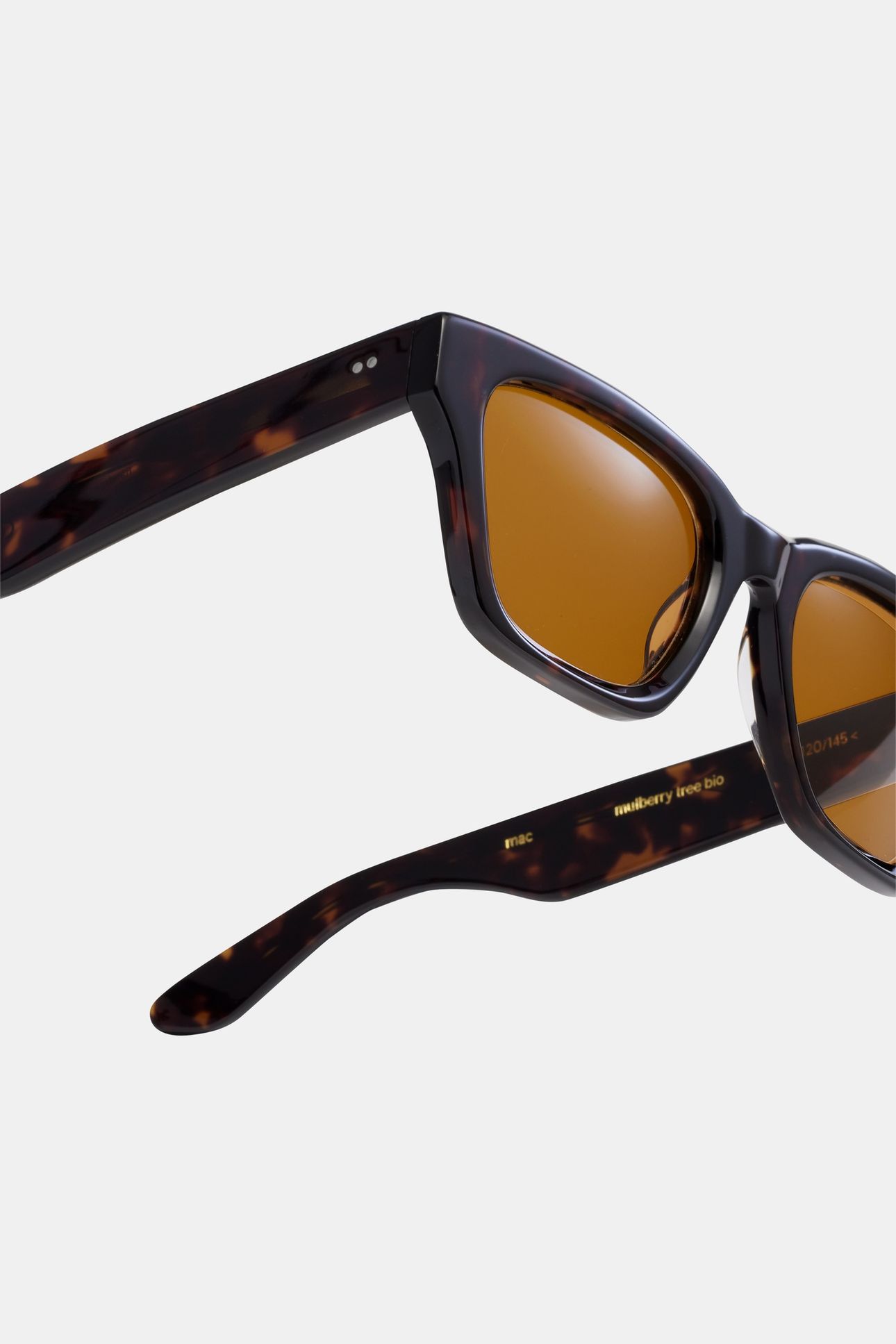 MAC-MULBERRY-TREE-AMBER-SUN 2