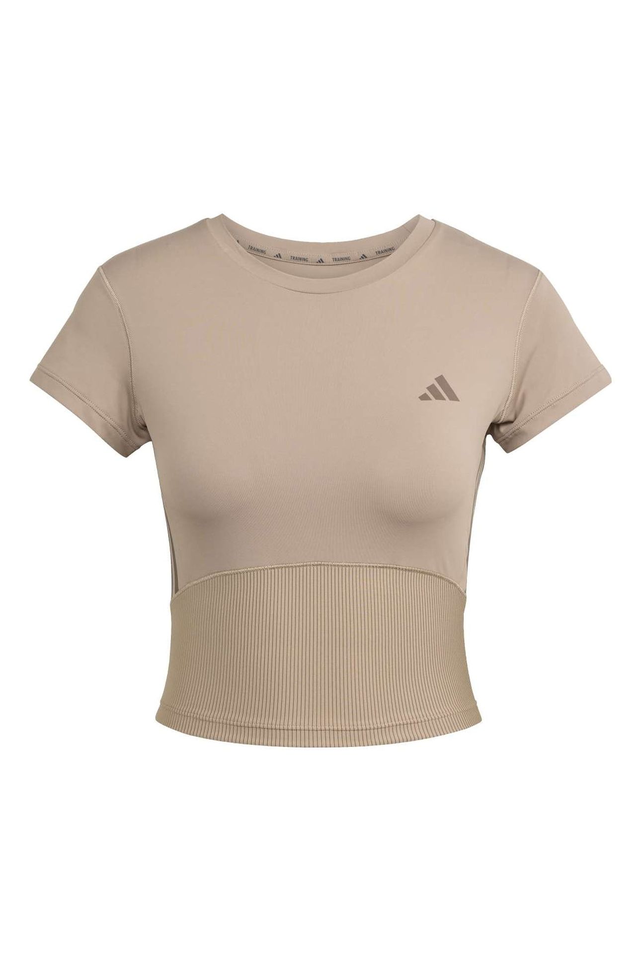 HYG RIB BABY TEE CHALKY BROWN 4
