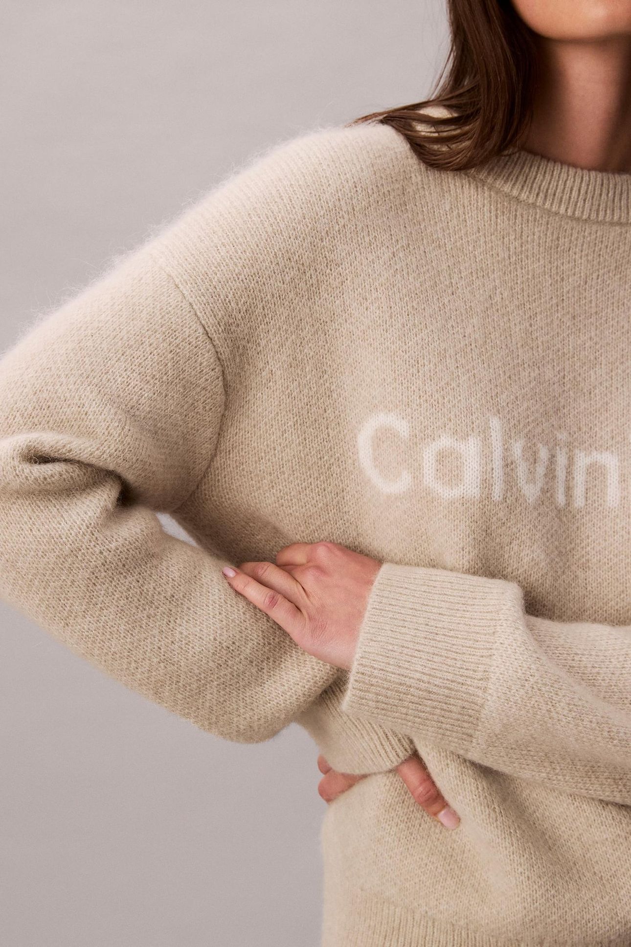 ALPACA LOGO SWEATER PELICAN 6