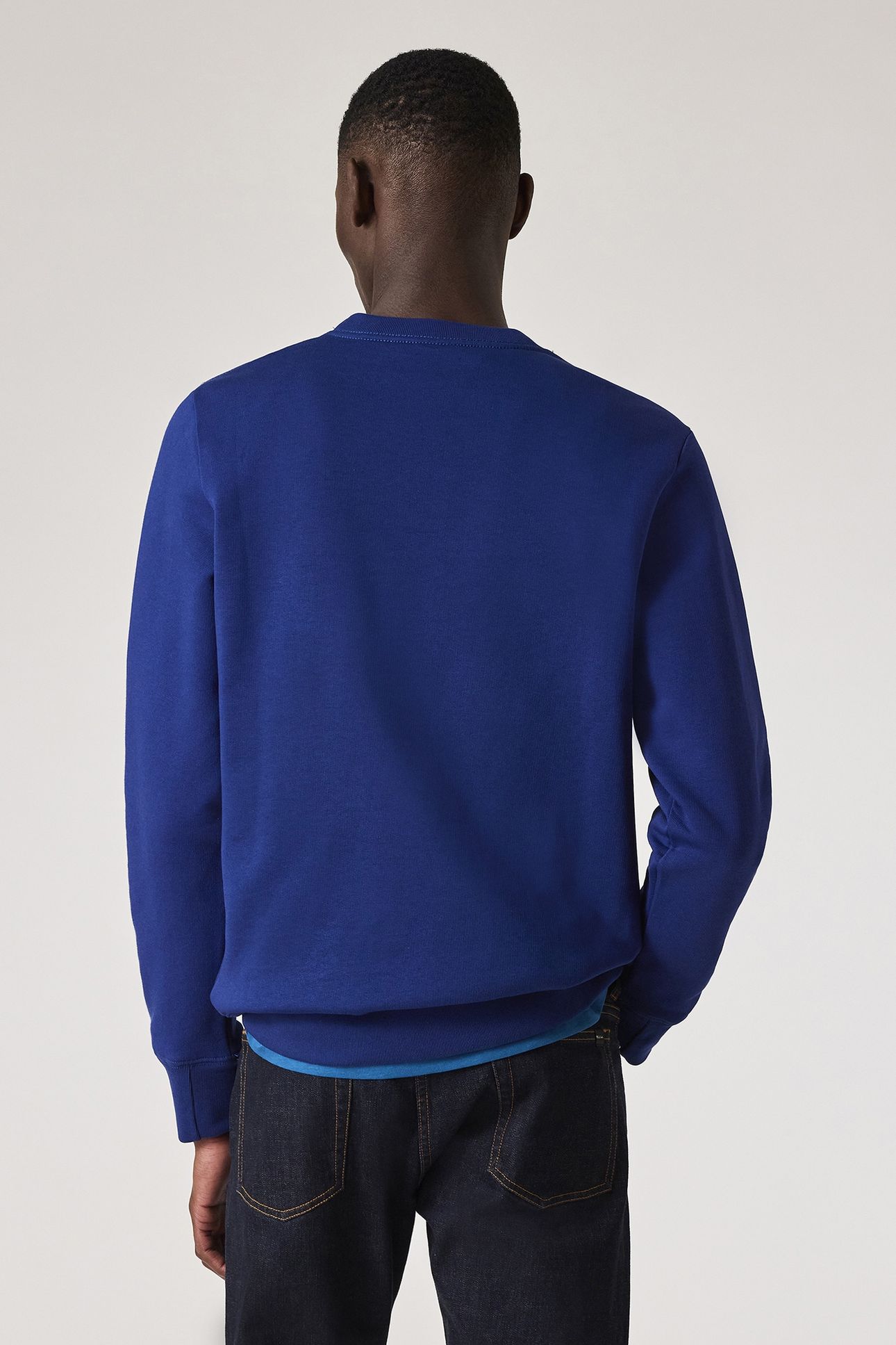 MENS REG FIT SWEATSHIRT ZEBRA INKY BLUE 3