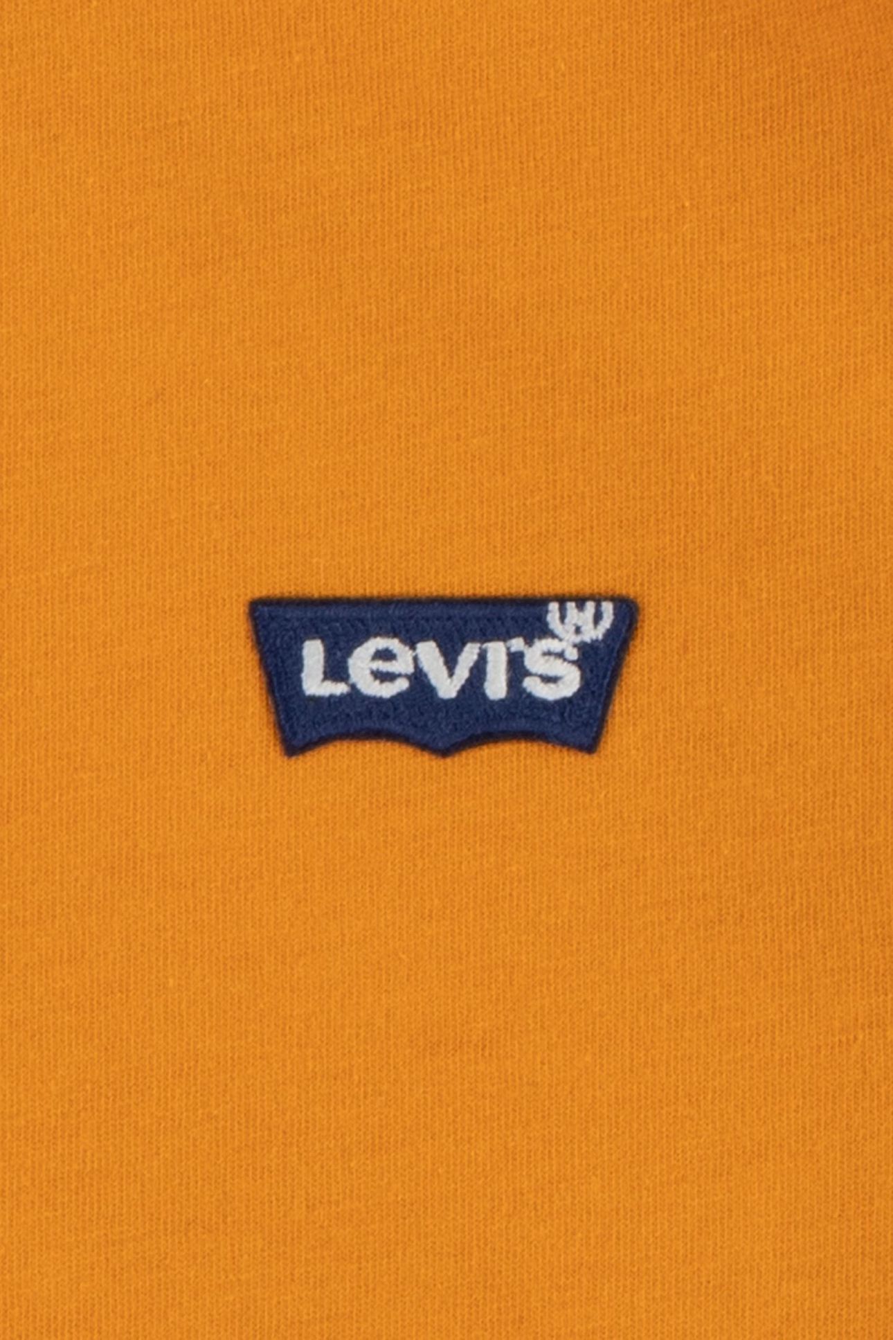 BOYS LS GRAPHIC TEE SHIRT DESERT SUN 3