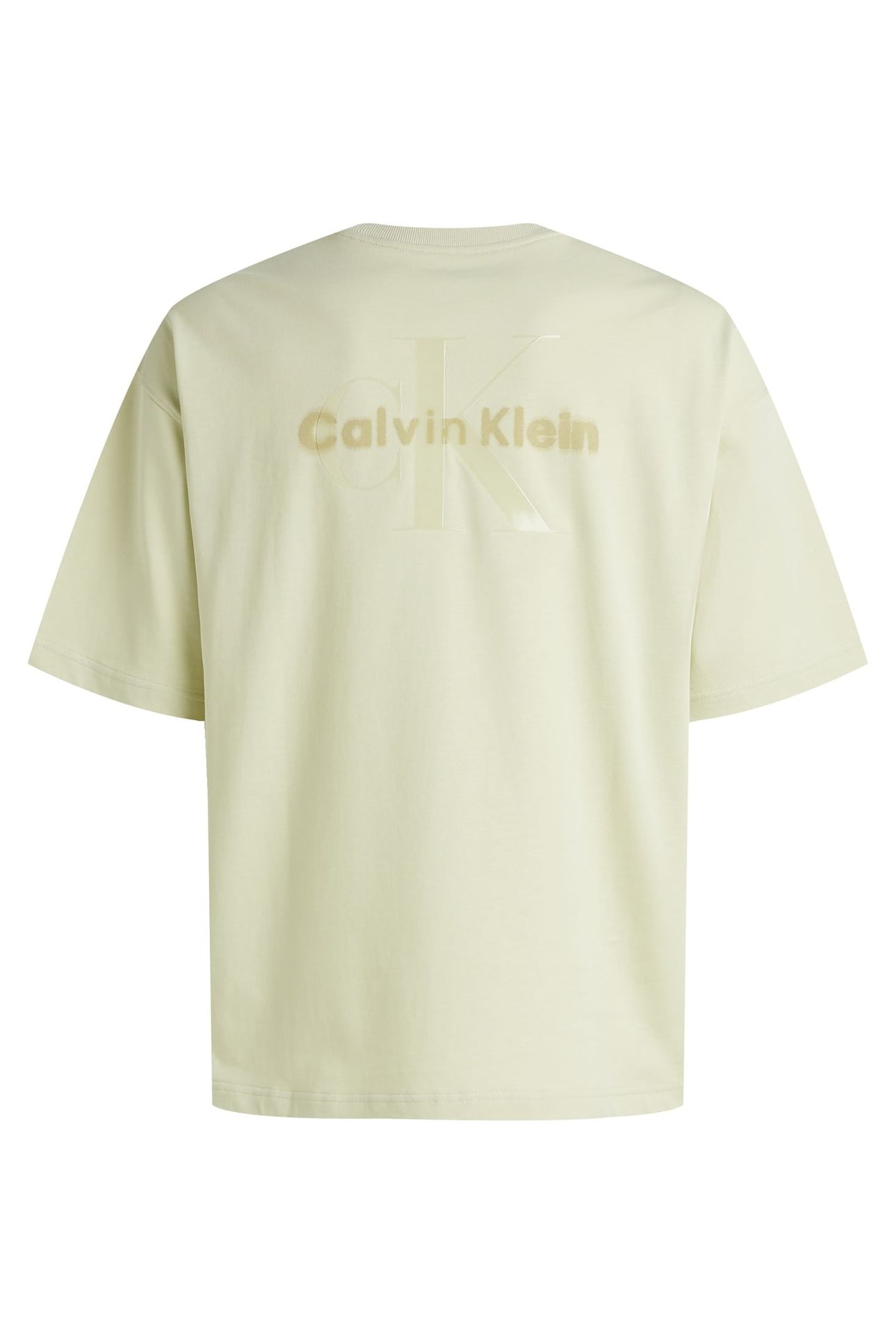 UNISEX SS T-SHIRT ALOE WASH 5