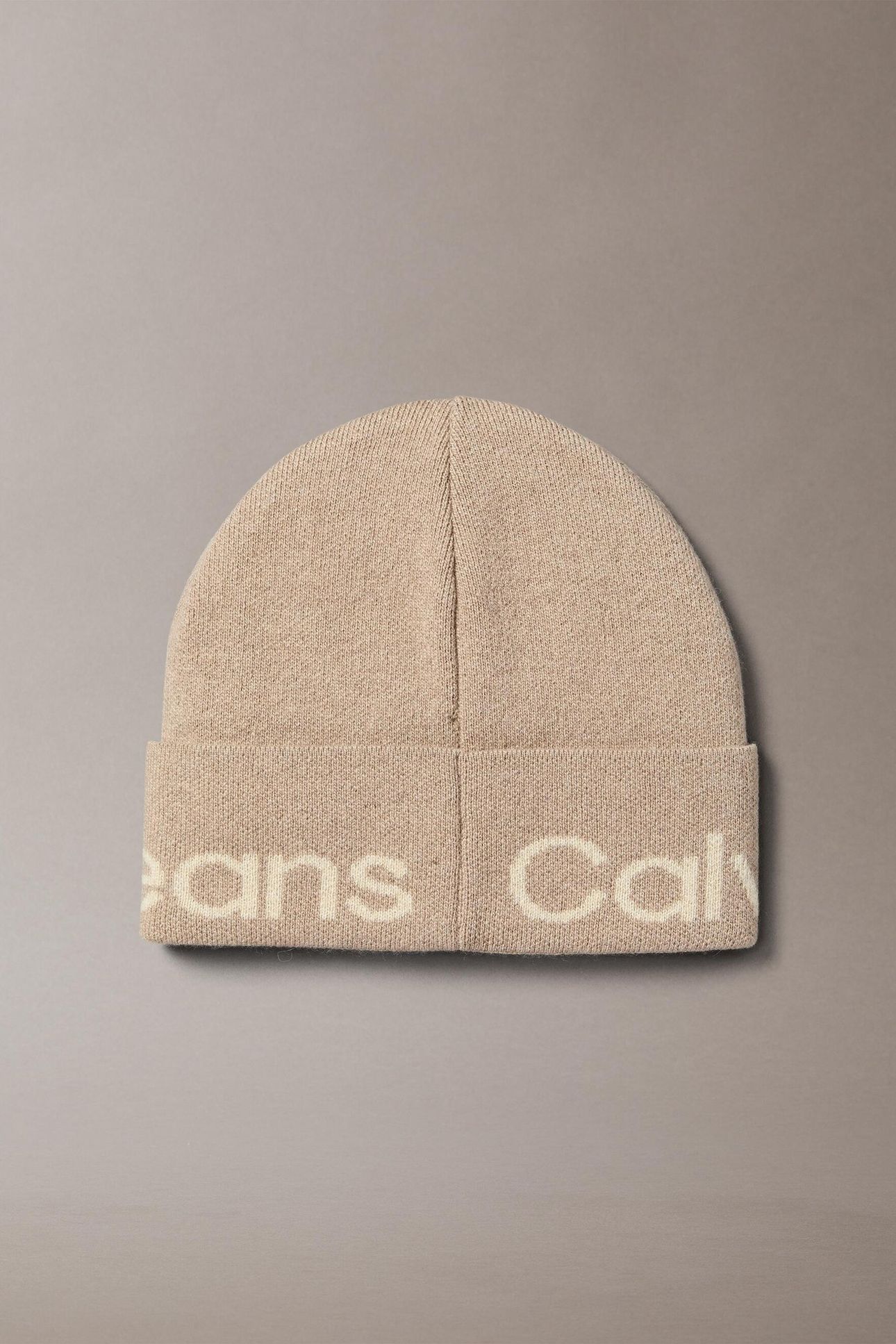 LOGO BEANIE PLAZA TAUPE 2