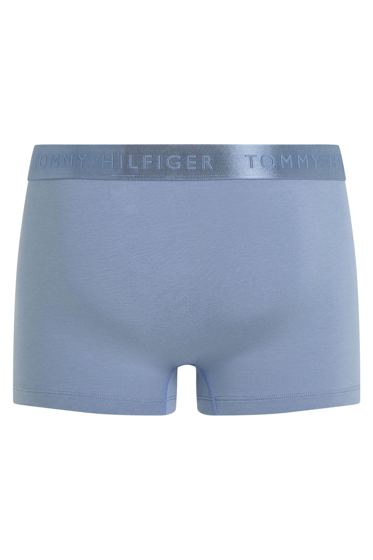 SINGLE TRUNK BRISK BLUE 2