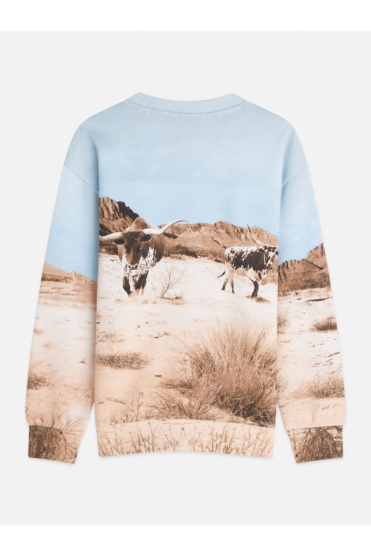 BOYS PHOTOPRINT ARTWORK RELAXEDFIT SWEATSHIRT MEDIUM BEIGE 2