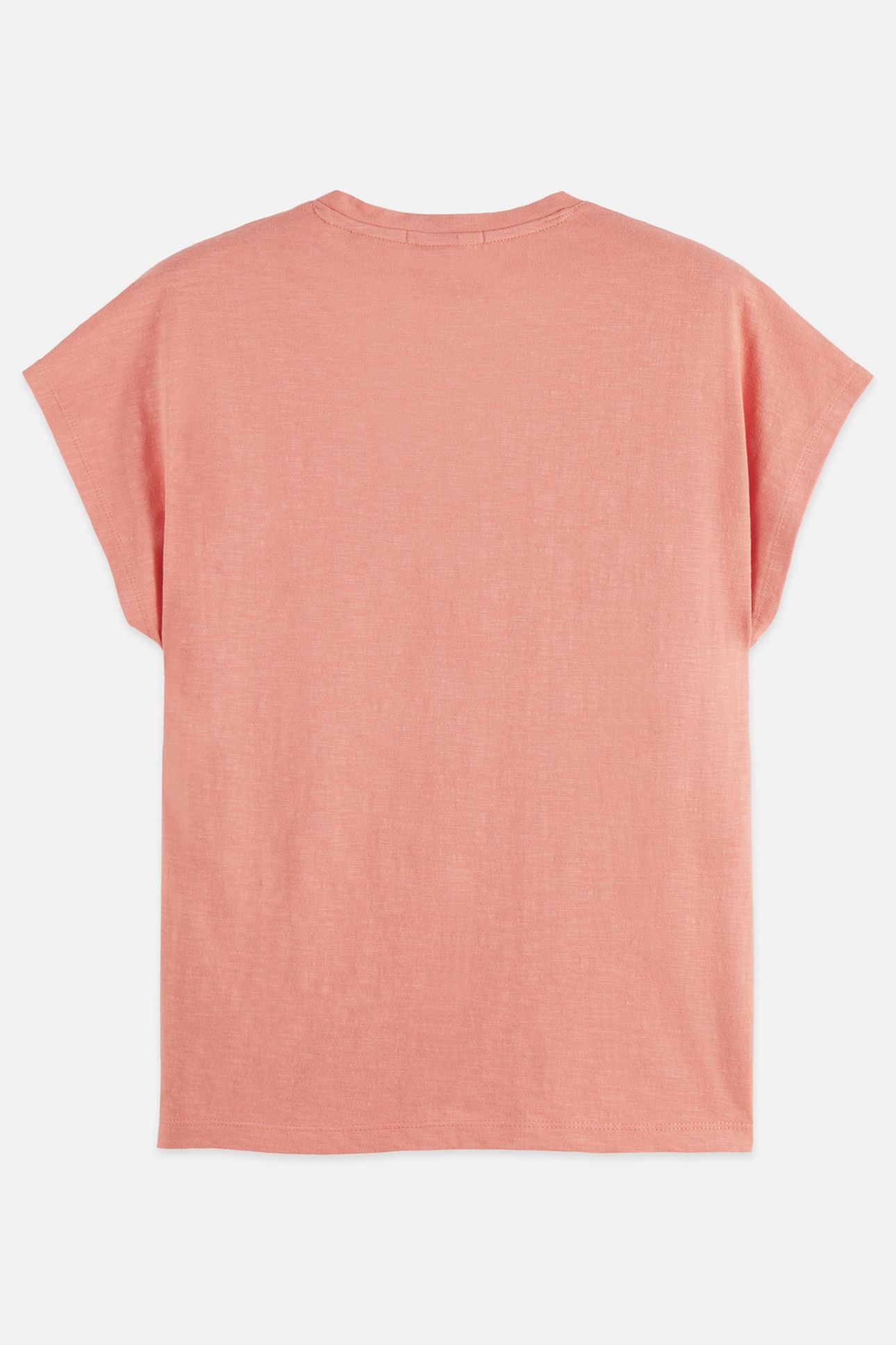 V-NECK T-SHIRT WITH AMPERSAND EMBROIDERY CANYON CLAY 2
