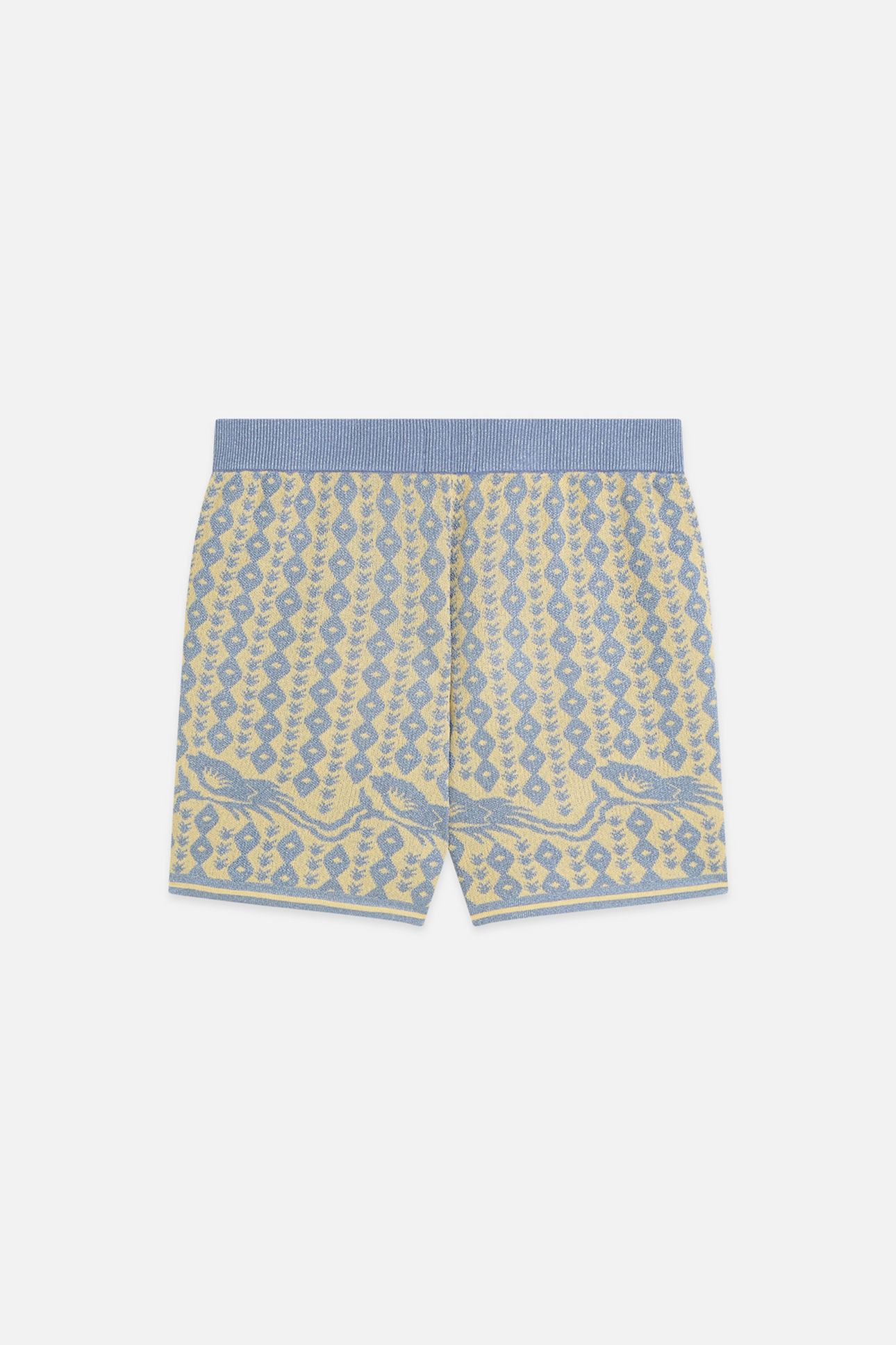 JACQUARD KNITTED SHORTS CACTUS STRIPE PLACED RAFFIA 4