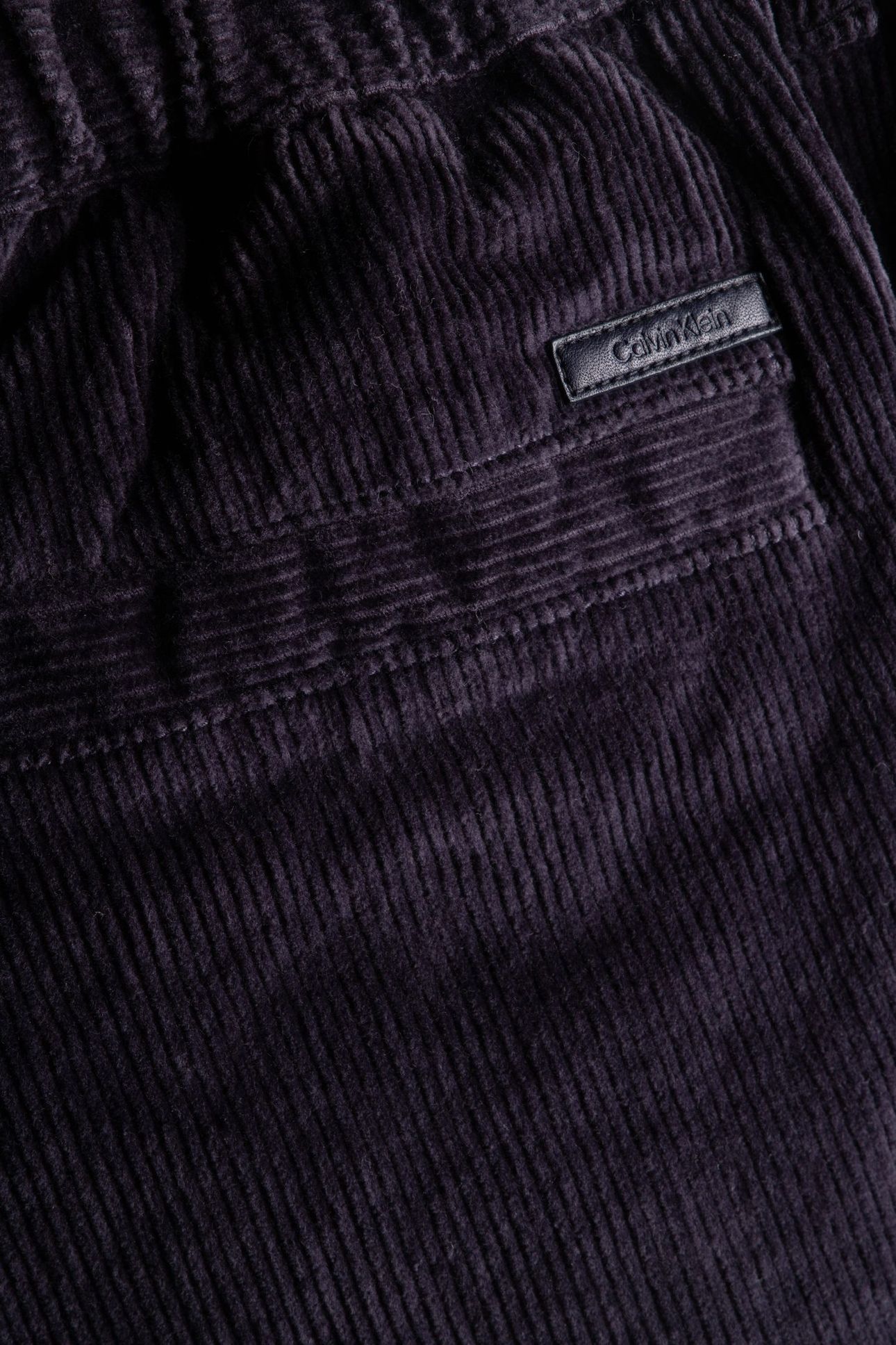 CORDUROY PLEATED PANTS BRISTOL GEMS 4
