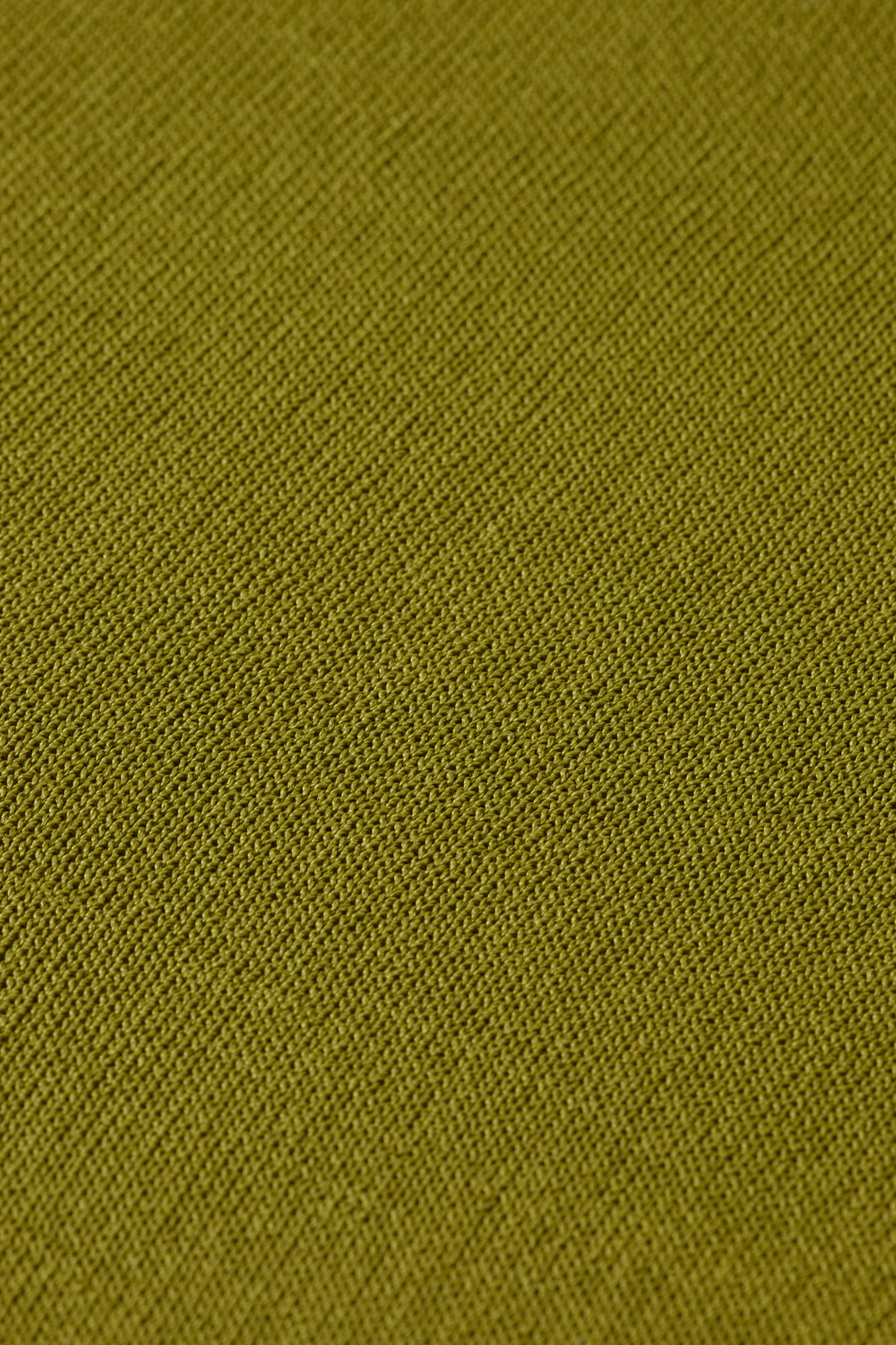 STRIPE TRIM SHORT SLEEVE PULLOVER GREEN MOSS 3