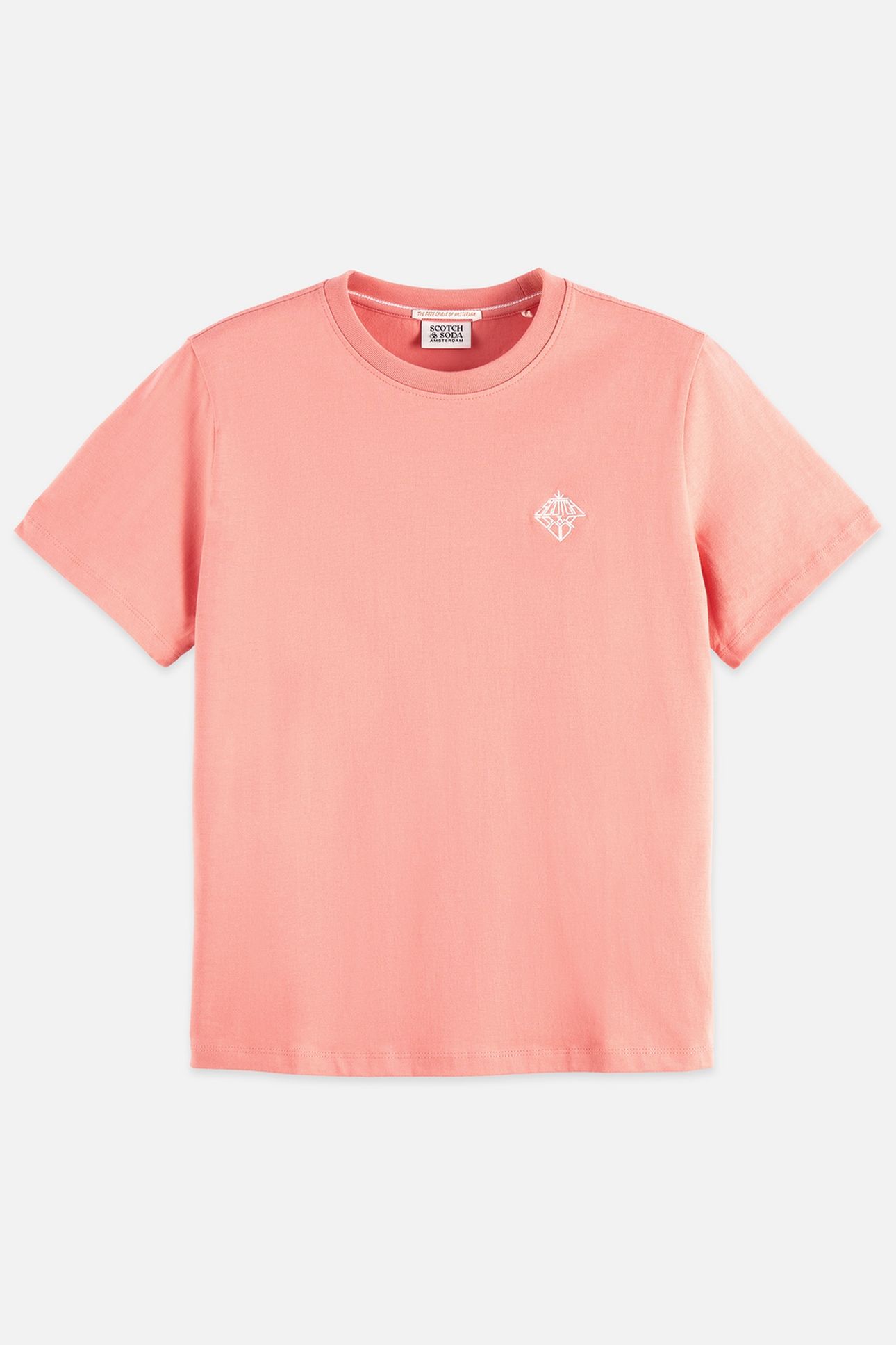 REGULAR FIT T-SHIRT WITH CHEST ARTWORK CANYON CLAY 1