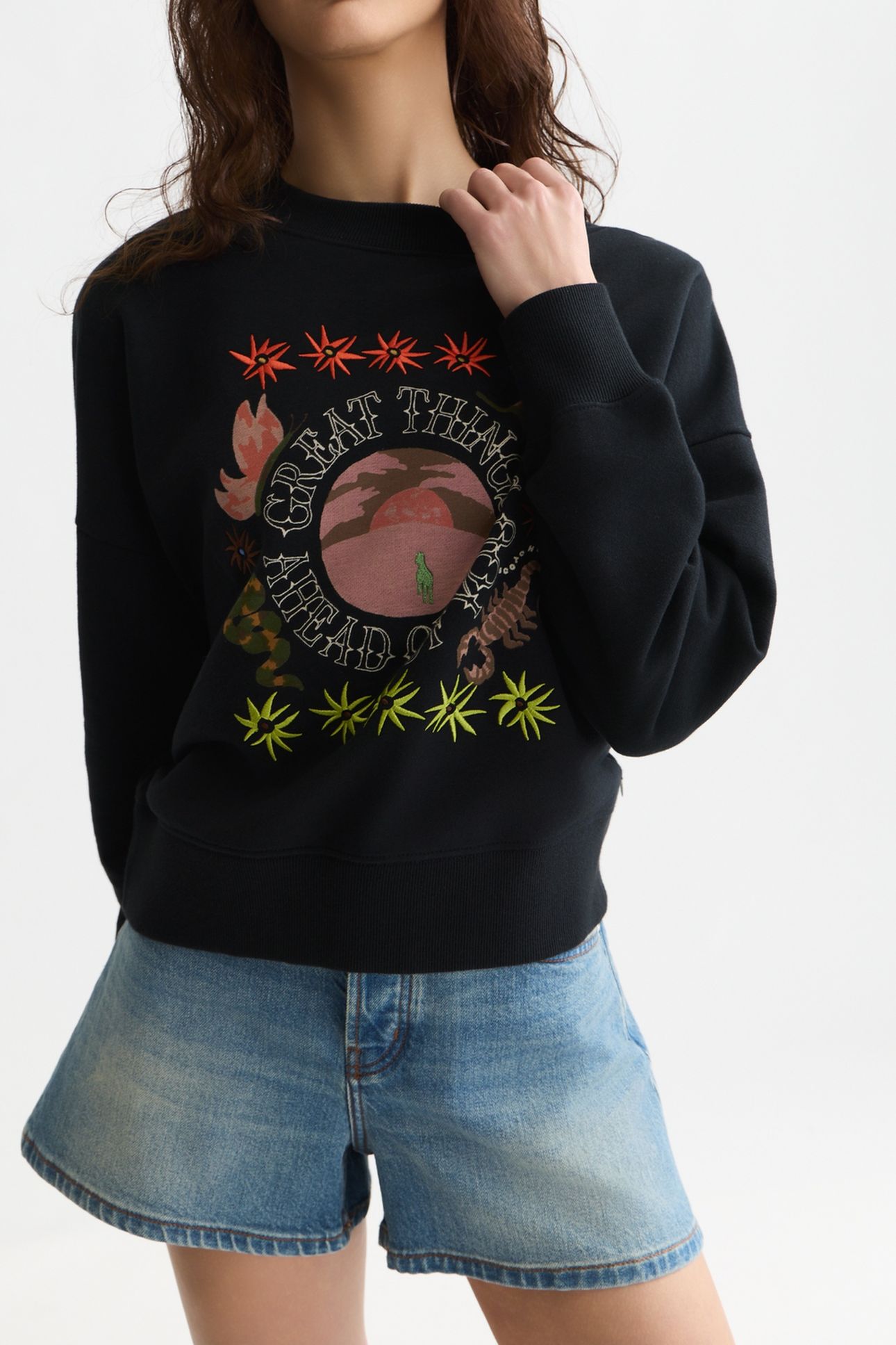 ARTWORK RELAXED-FIT SWEATSHIRT METEORITE 6