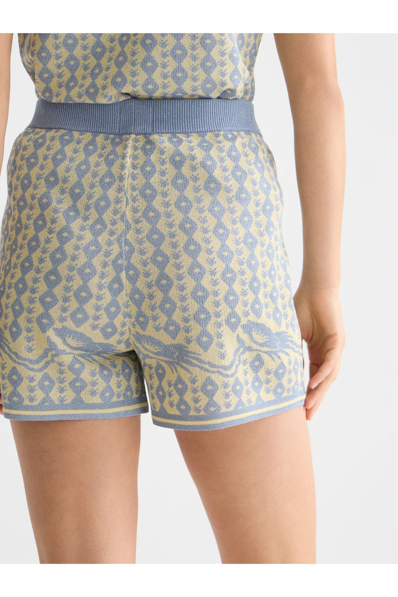 JACQUARD KNITTED SHORTS CACTUS STRIPE PLACED RAFFIA 6