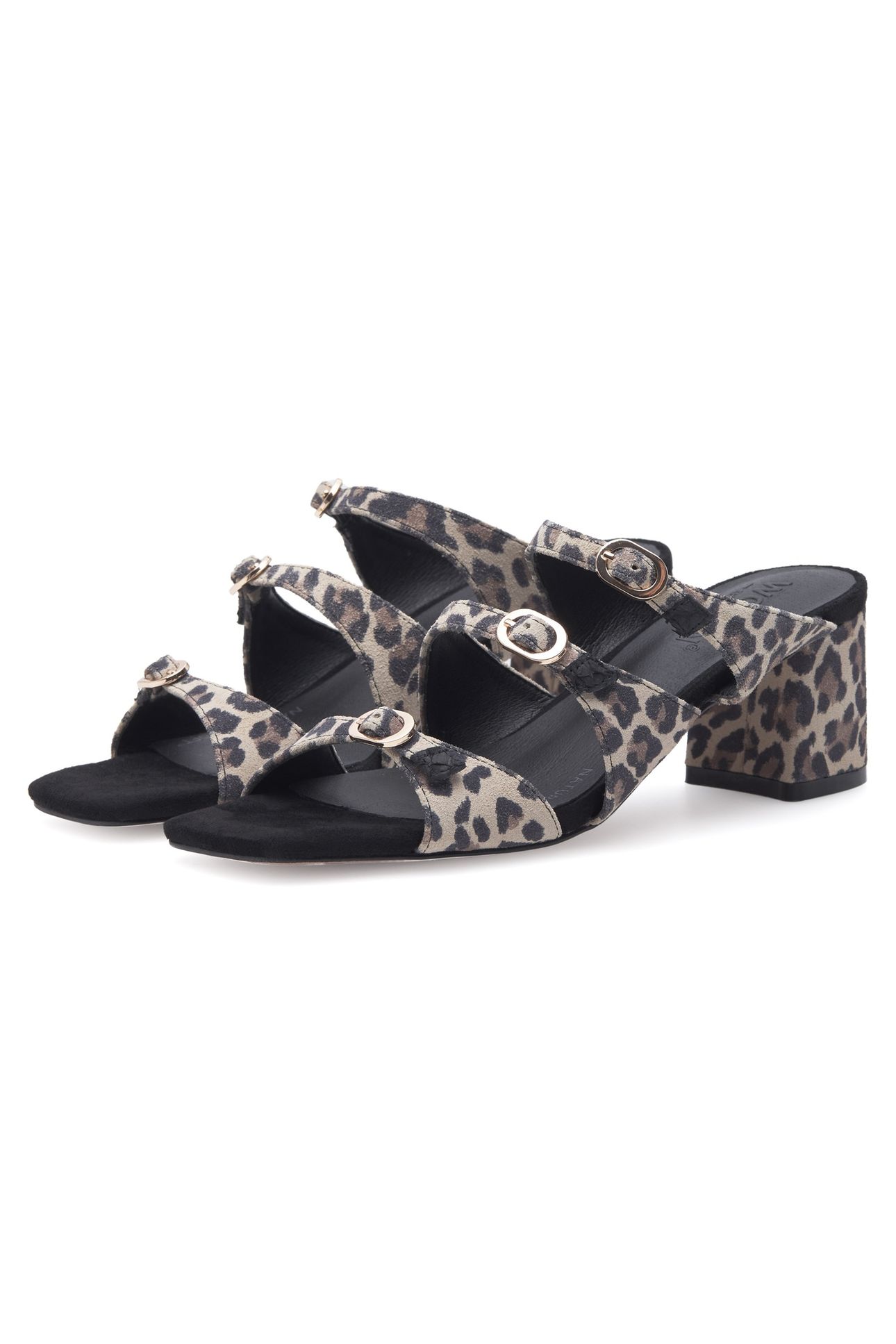 HANNA LEO LEOPARD 4