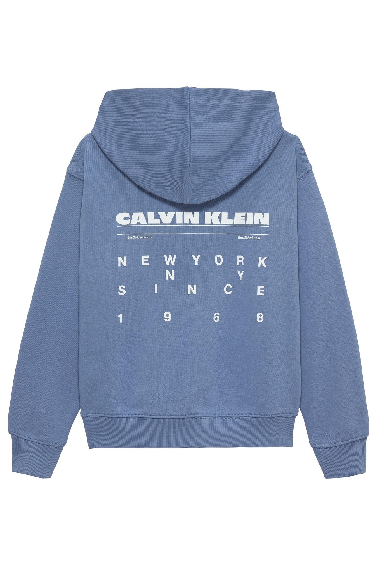 BOYS RELAXED BACK AW HOODIE SATIN BLUE 2