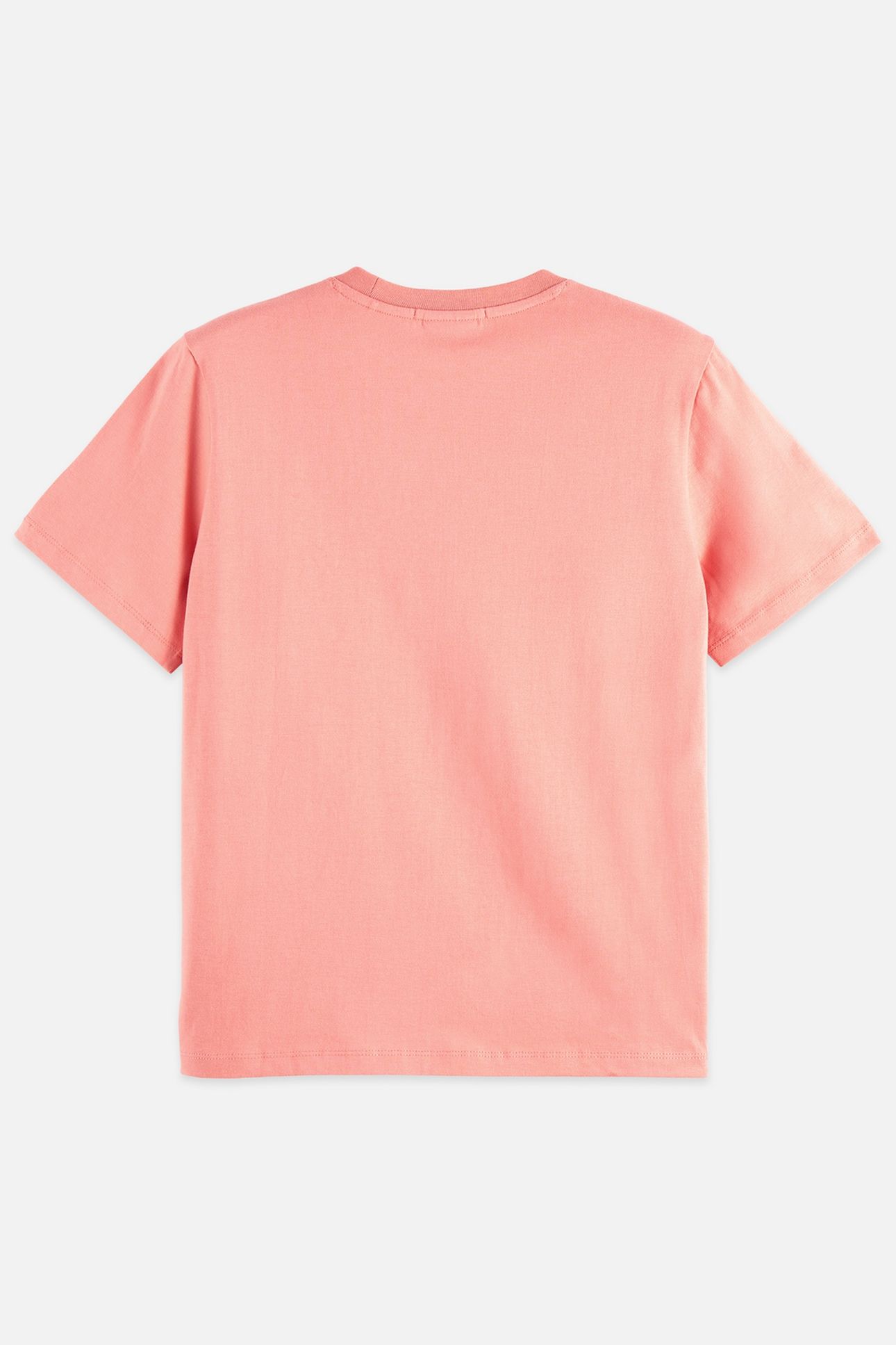 REGULAR FIT T-SHIRT WITH CHEST ARTWORK CANYON CLAY 2