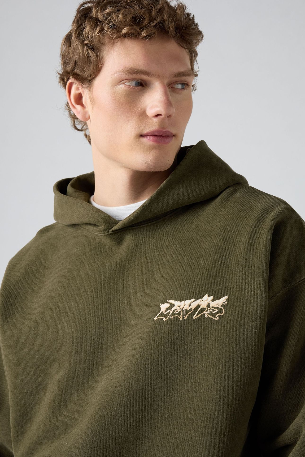 TWO HORSE BOXY HOODIE 5