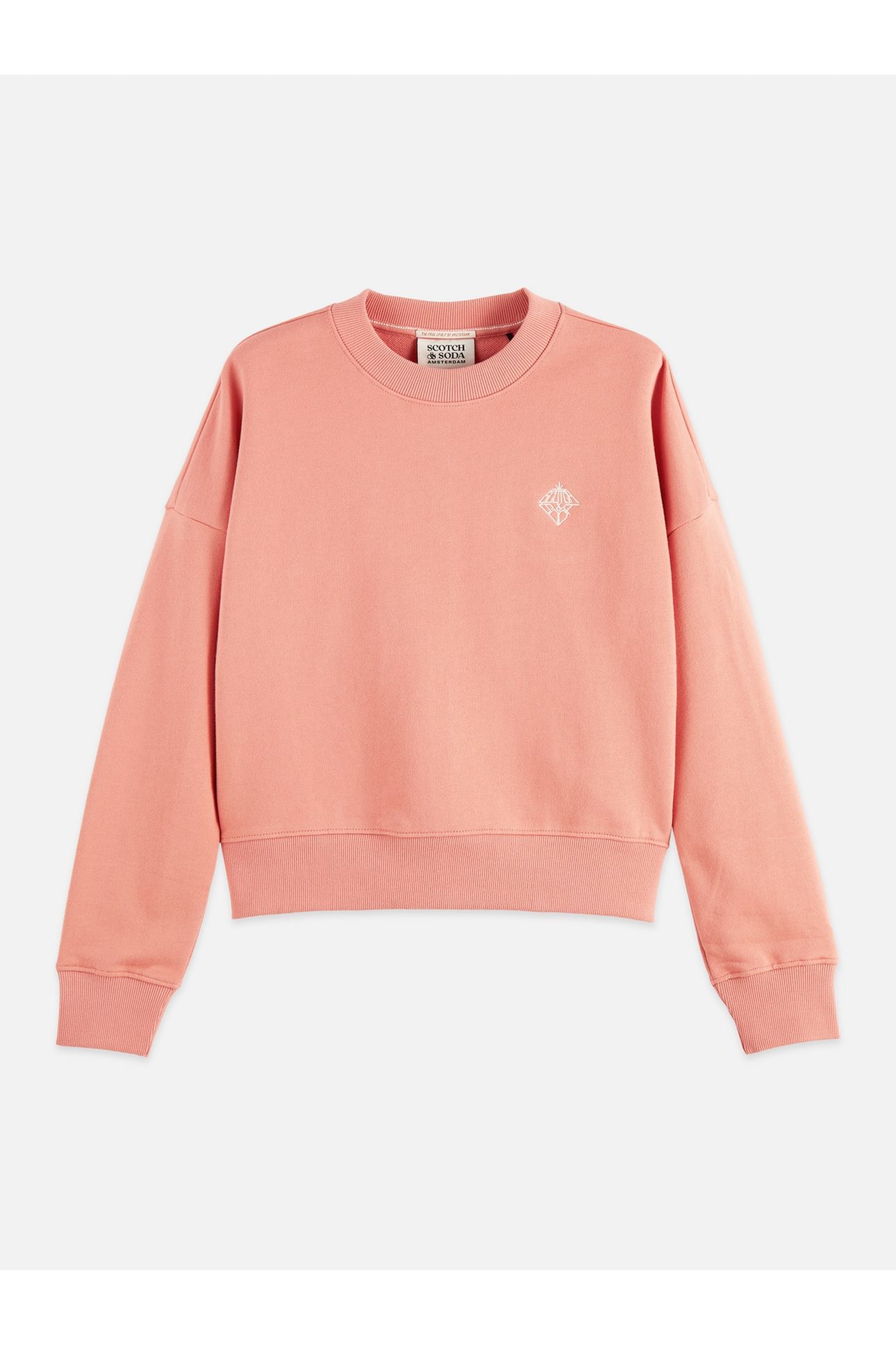 EMBROIDERED LOGO RELAXED FIT SWEATSHIRT CANYON CLAY 1