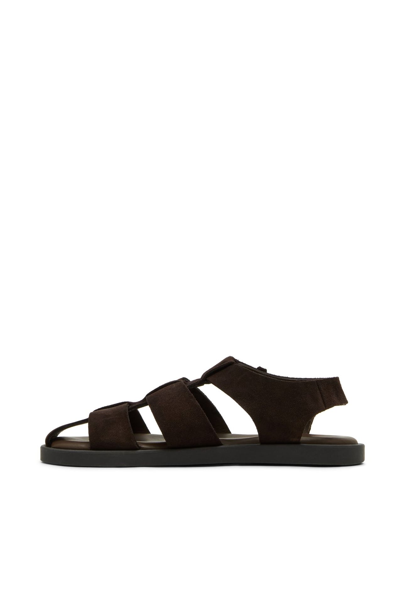GANNTON BROWN 8