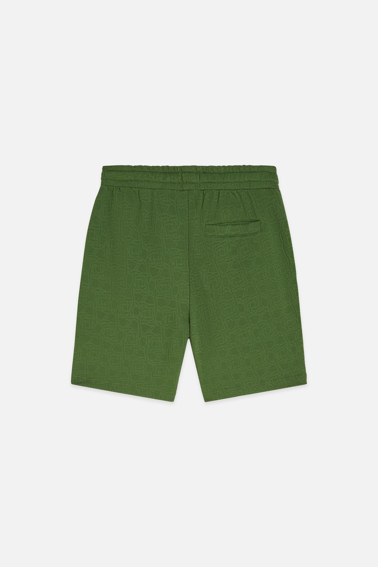 JACQUARD REGULARFIT SHORTS DARK GREEN 2